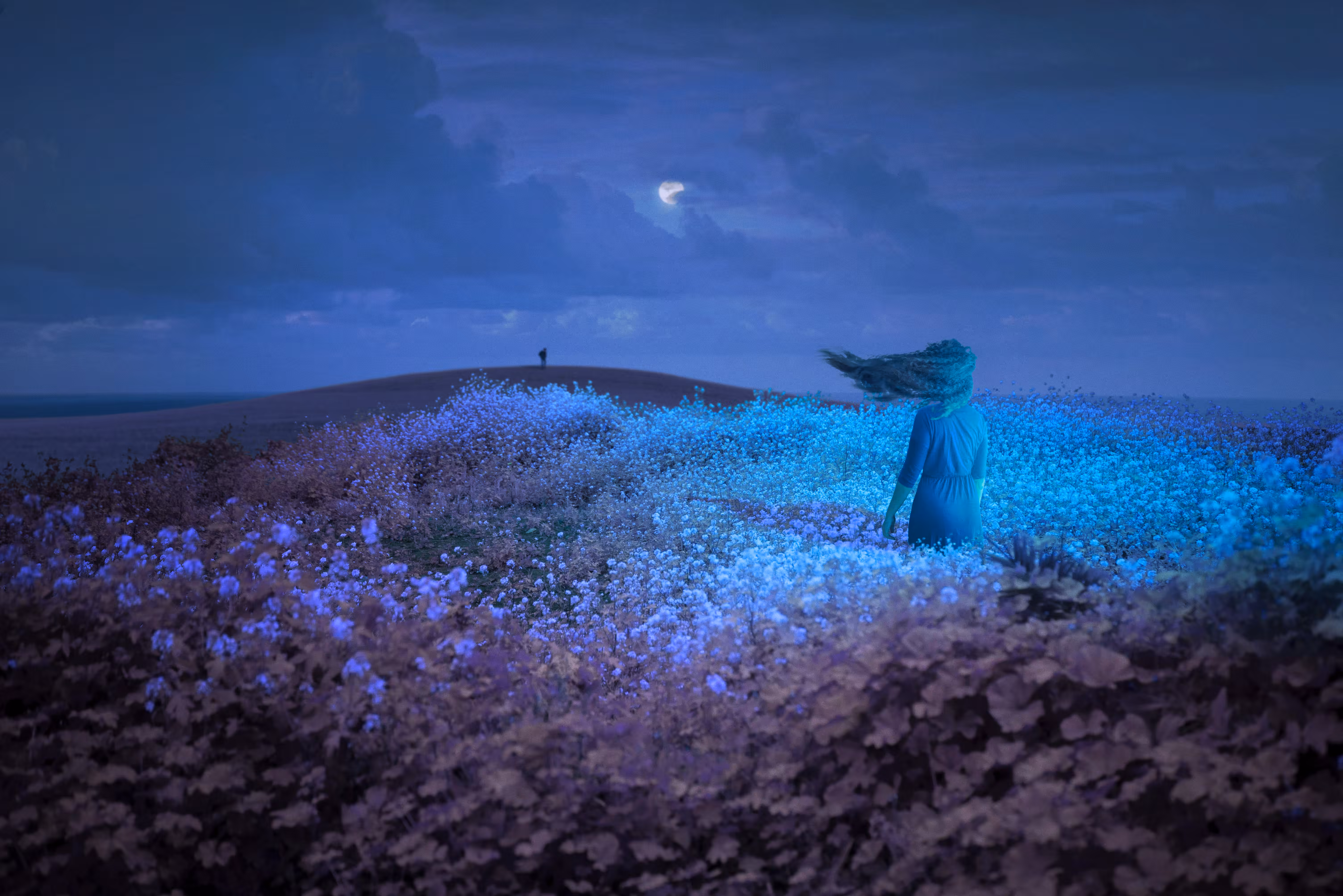 Blue Hour Wind