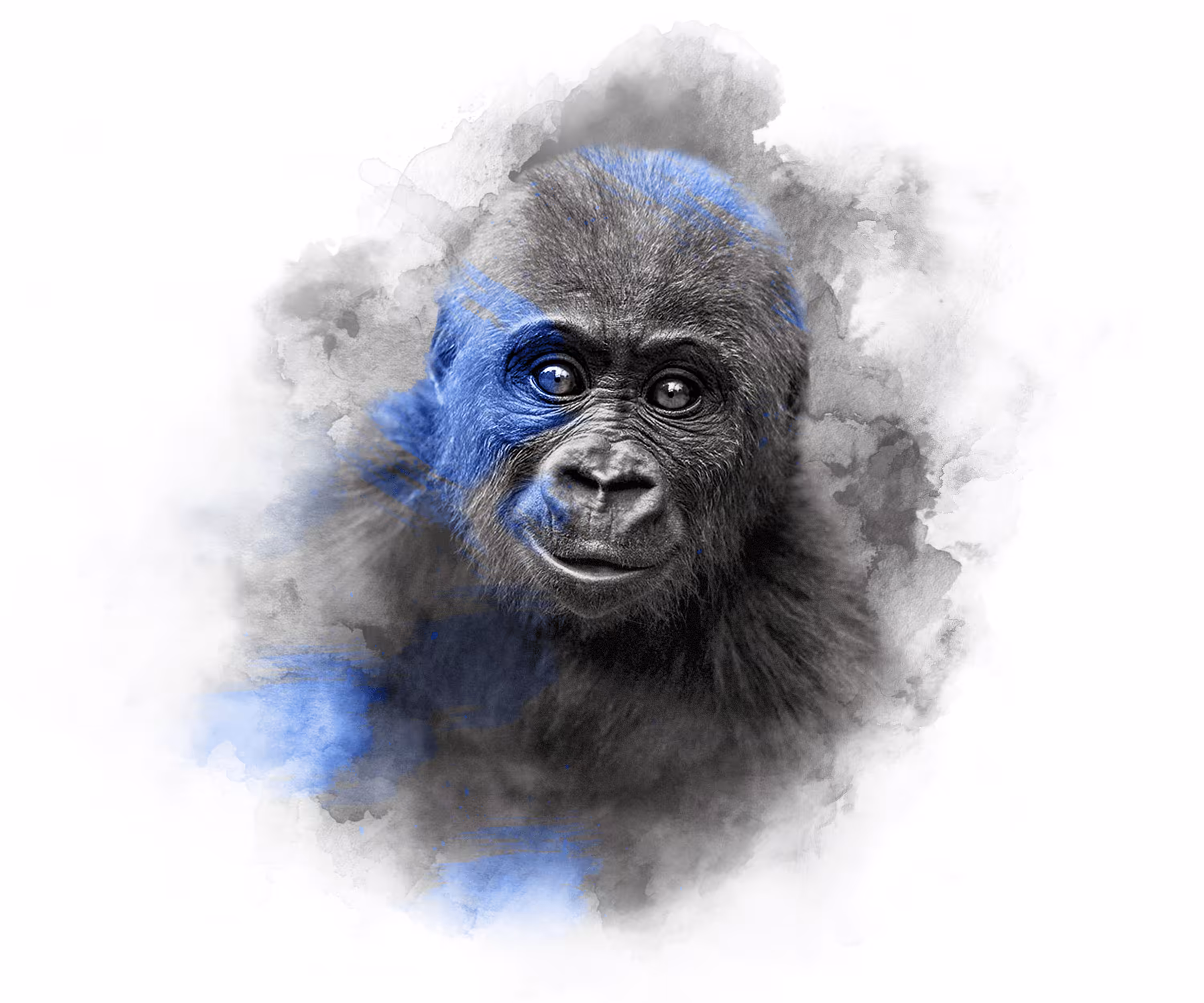 BLUE BABY - GORILLA