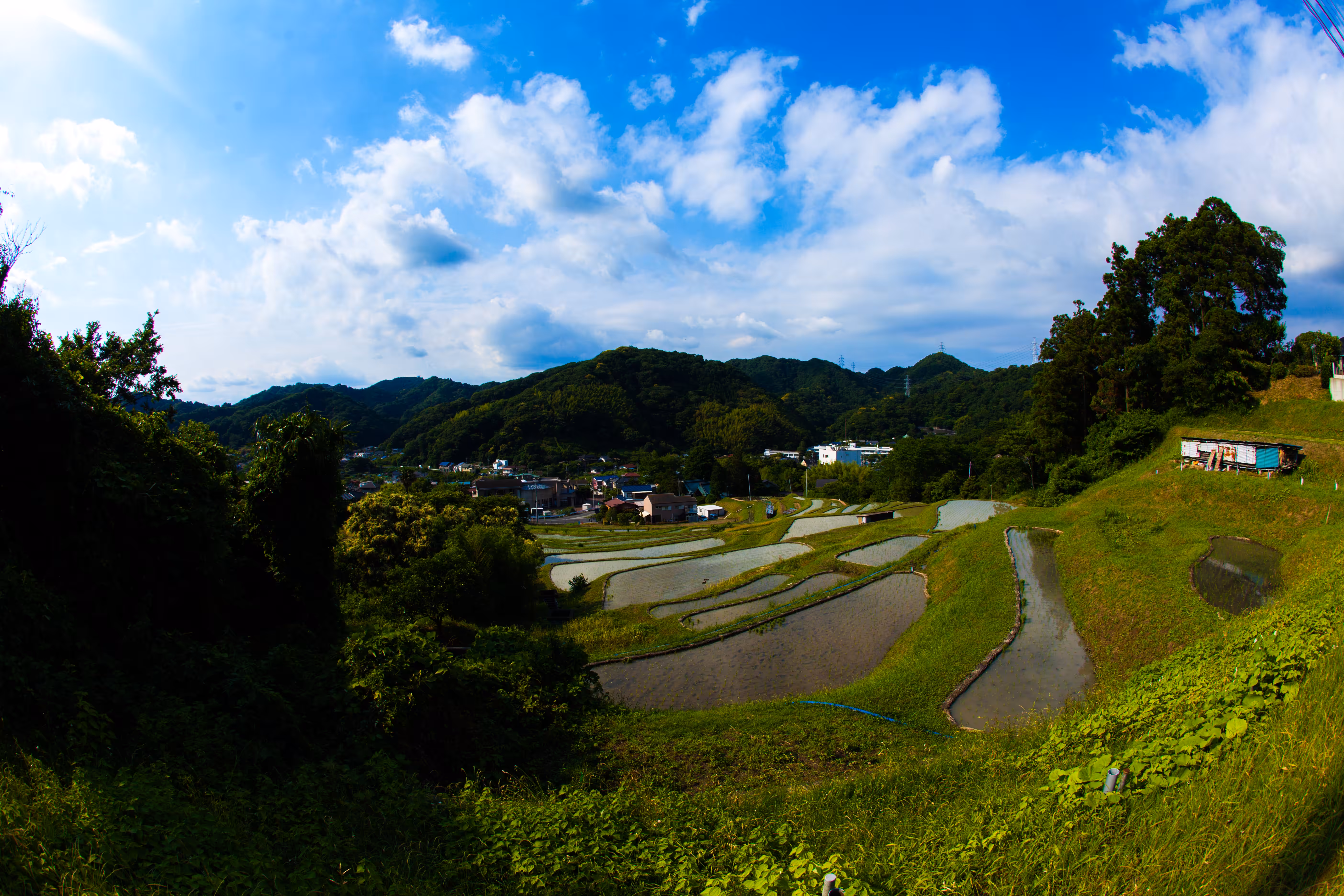 Rice Terraces