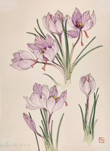 saffron