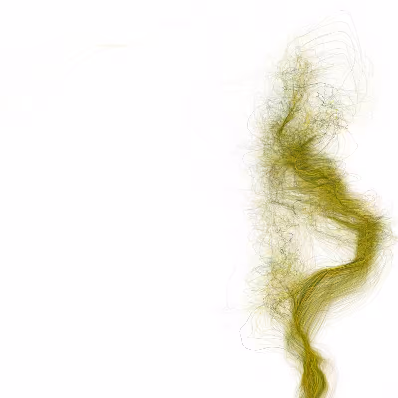 Hypericum #121