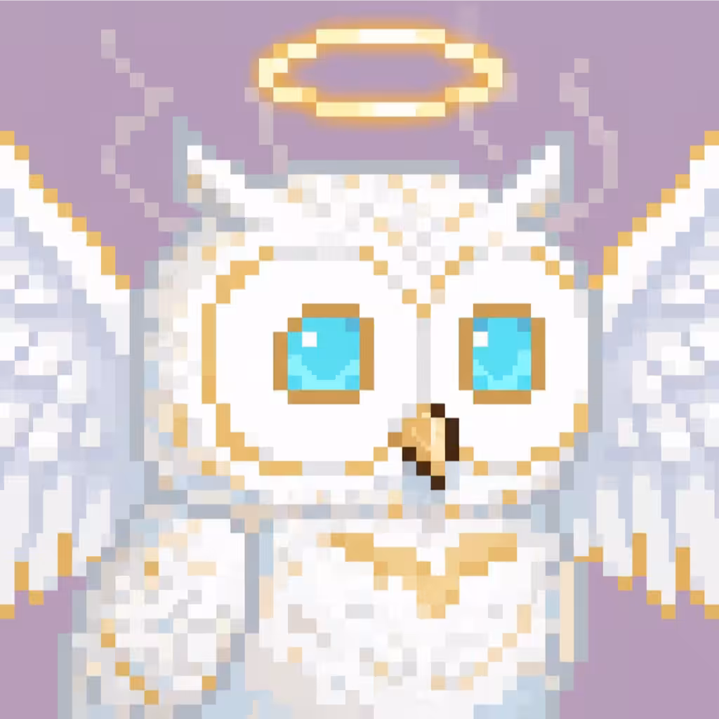 Hoot #5