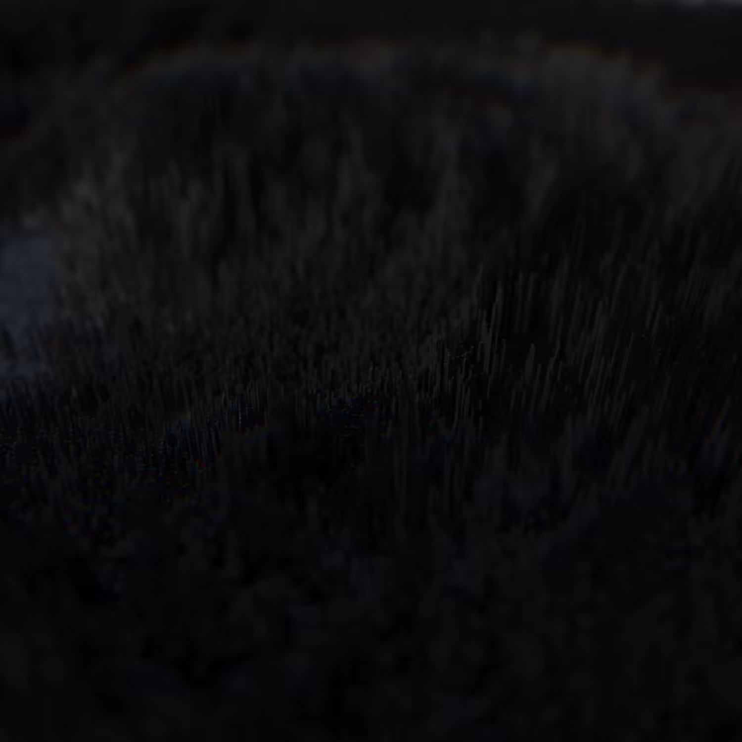 Darkness 