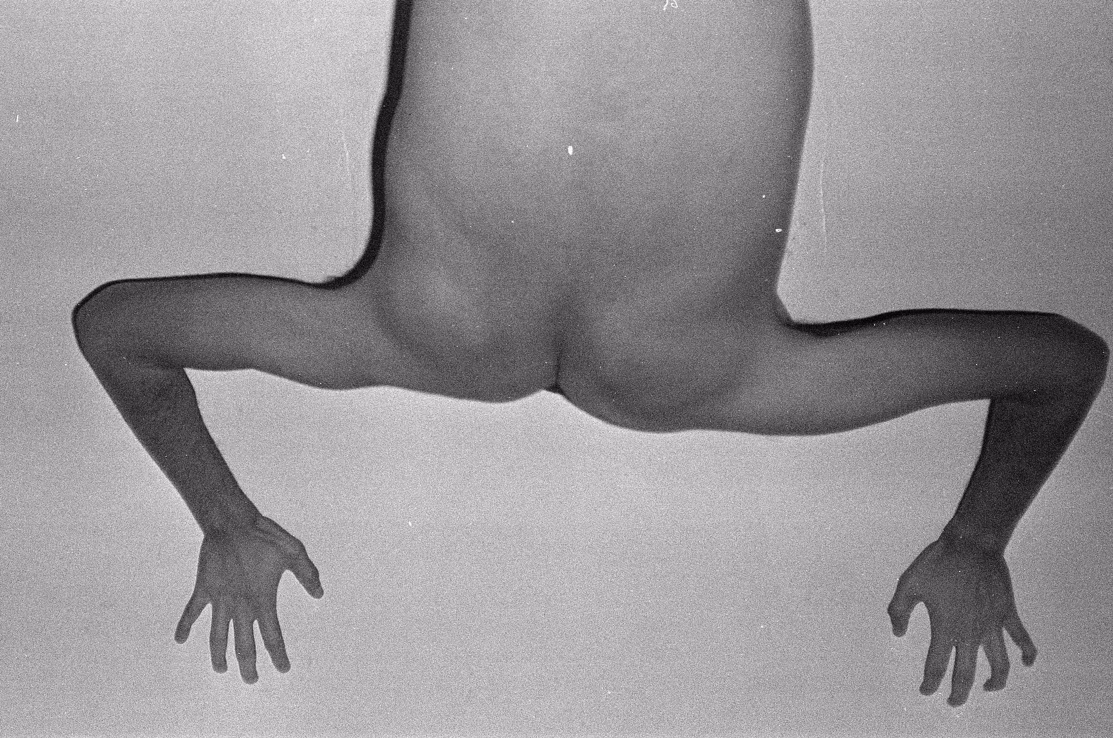 "Frog"