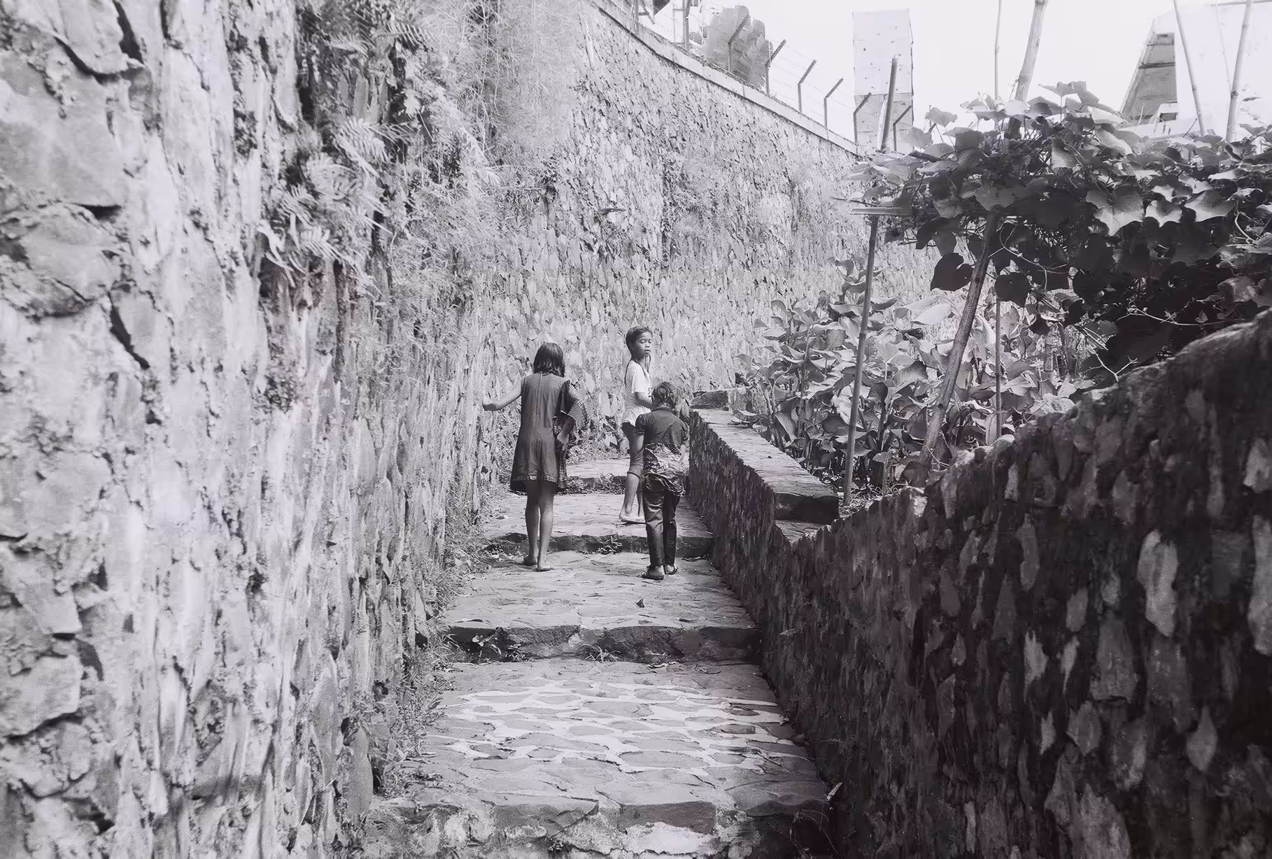 Steps