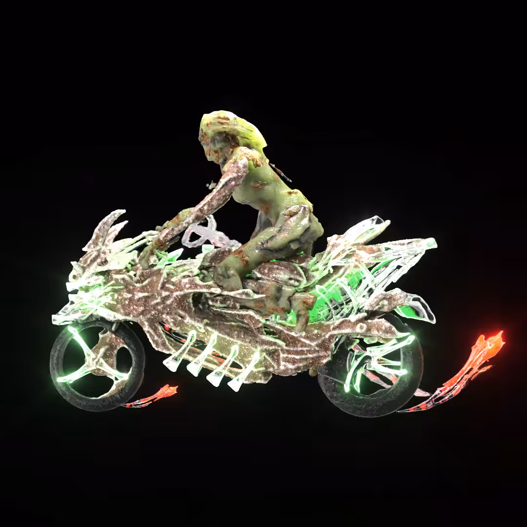 Flesh Bikes #005