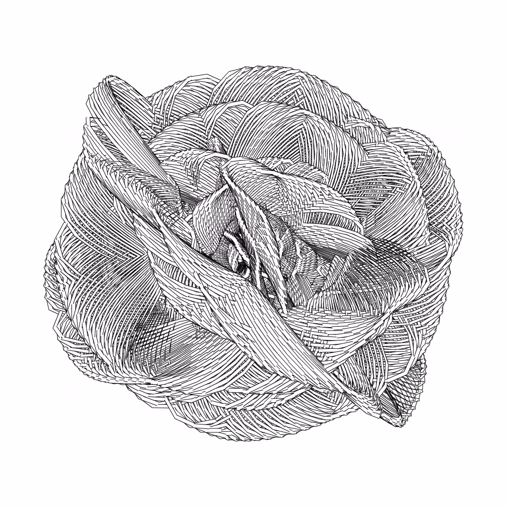 LL21 Entangled (3) #90