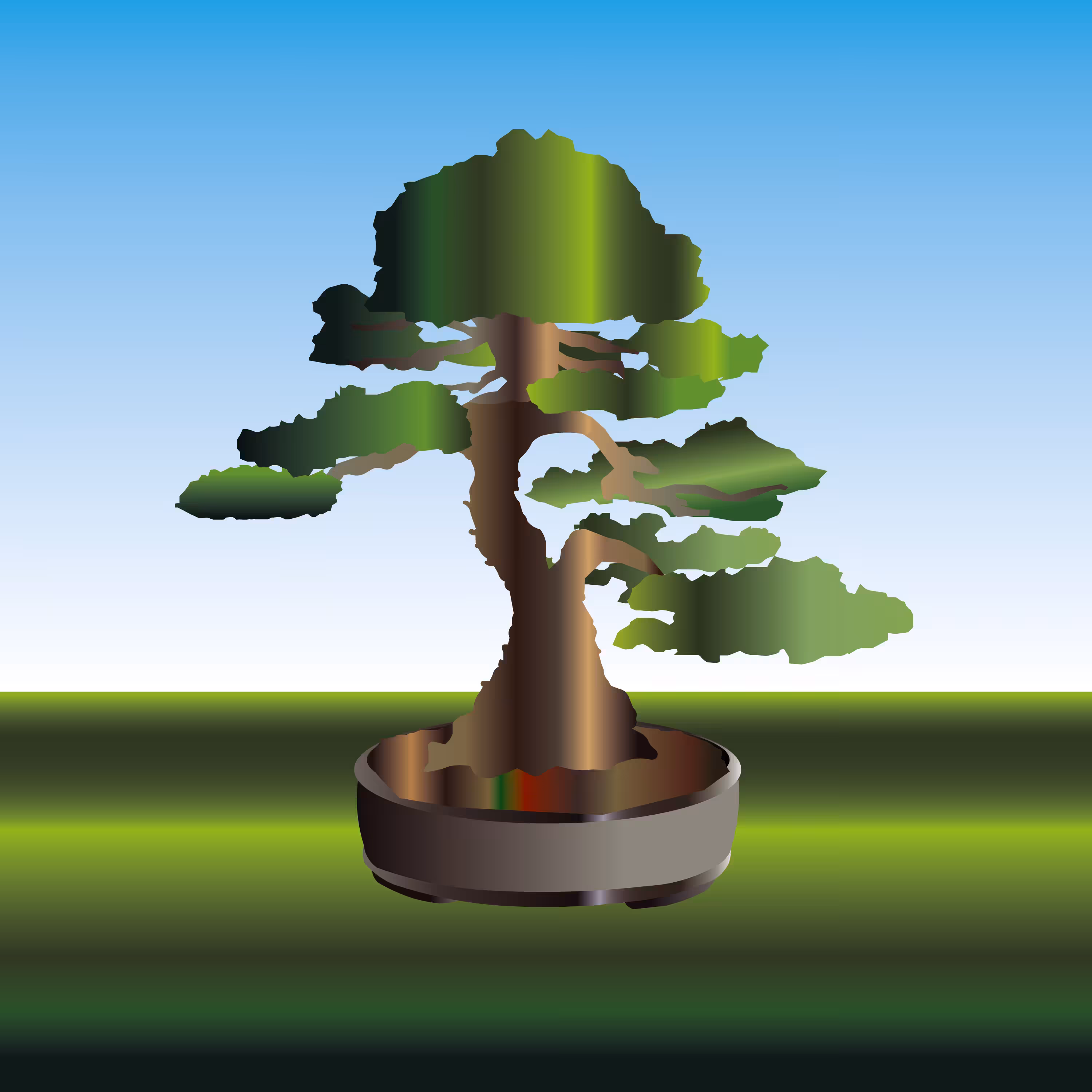 Bonsai