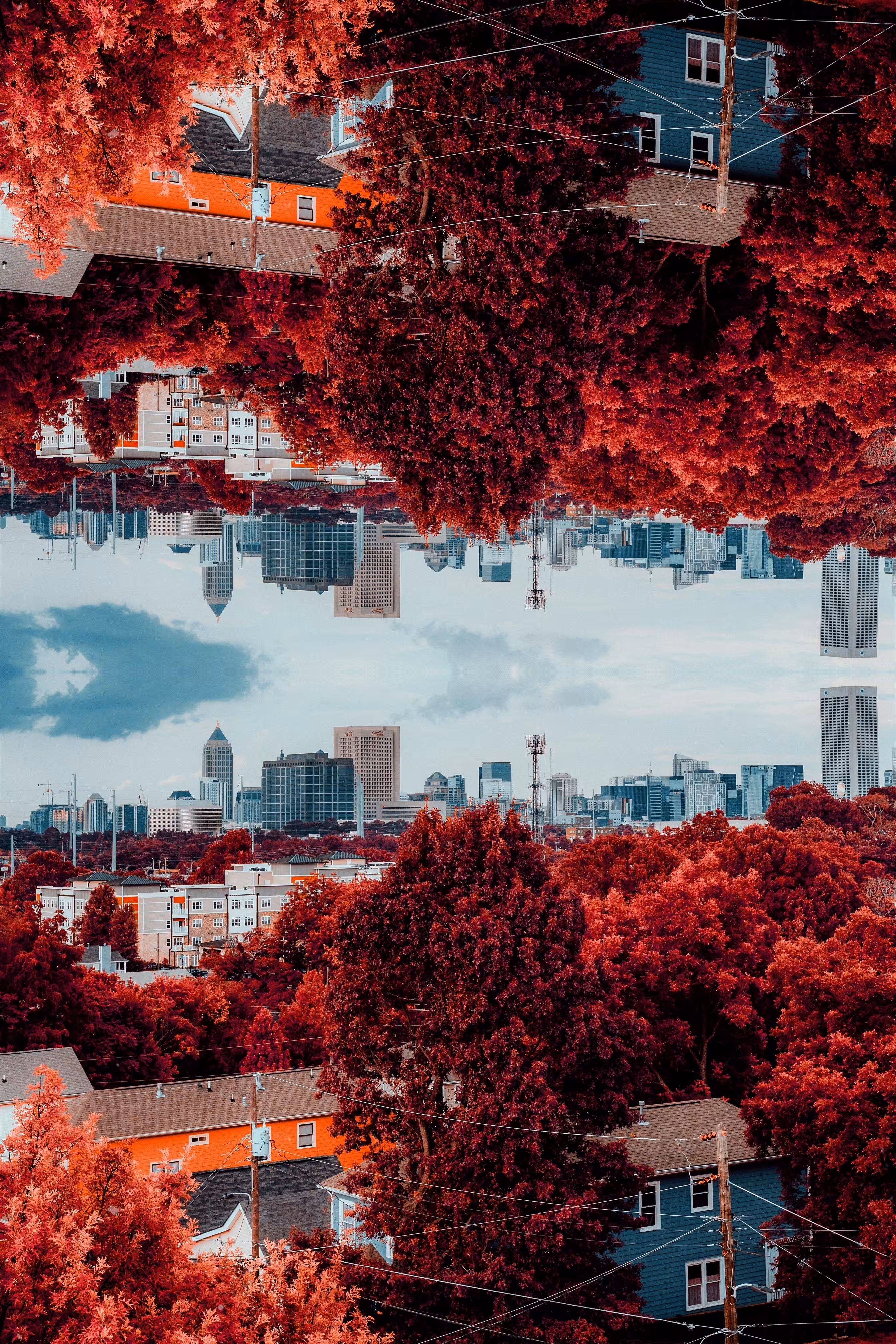 Inception