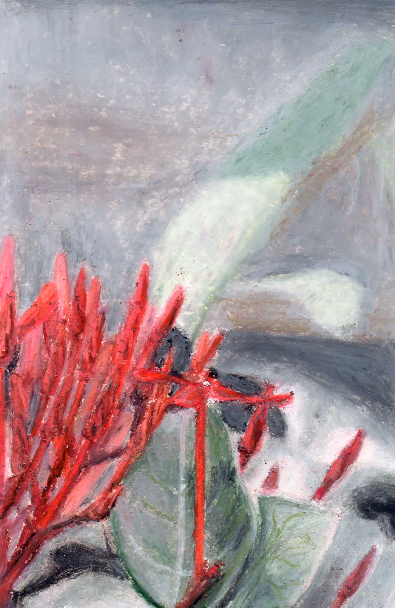 Ixora Coccinea In The Day