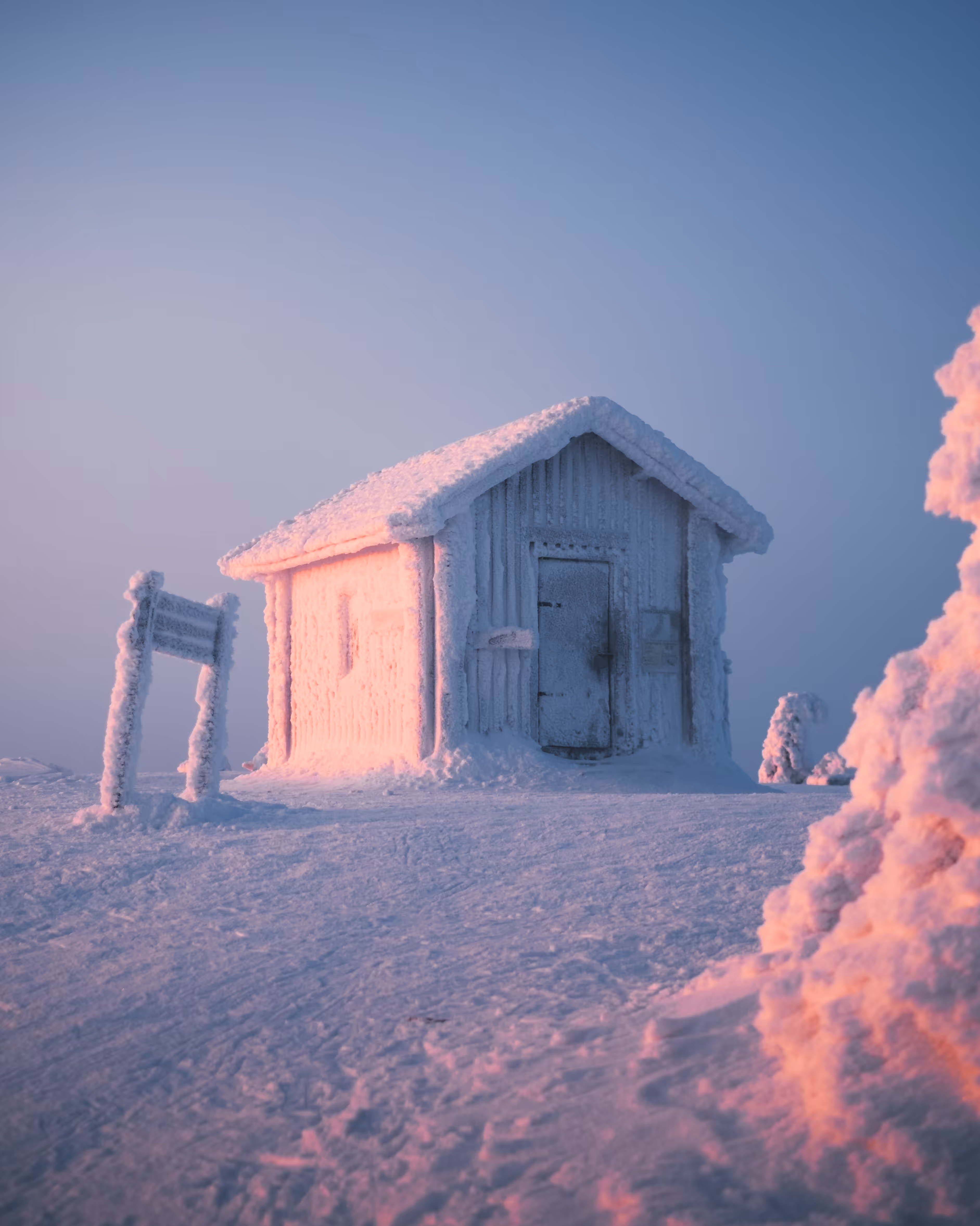 Top Of Hill
