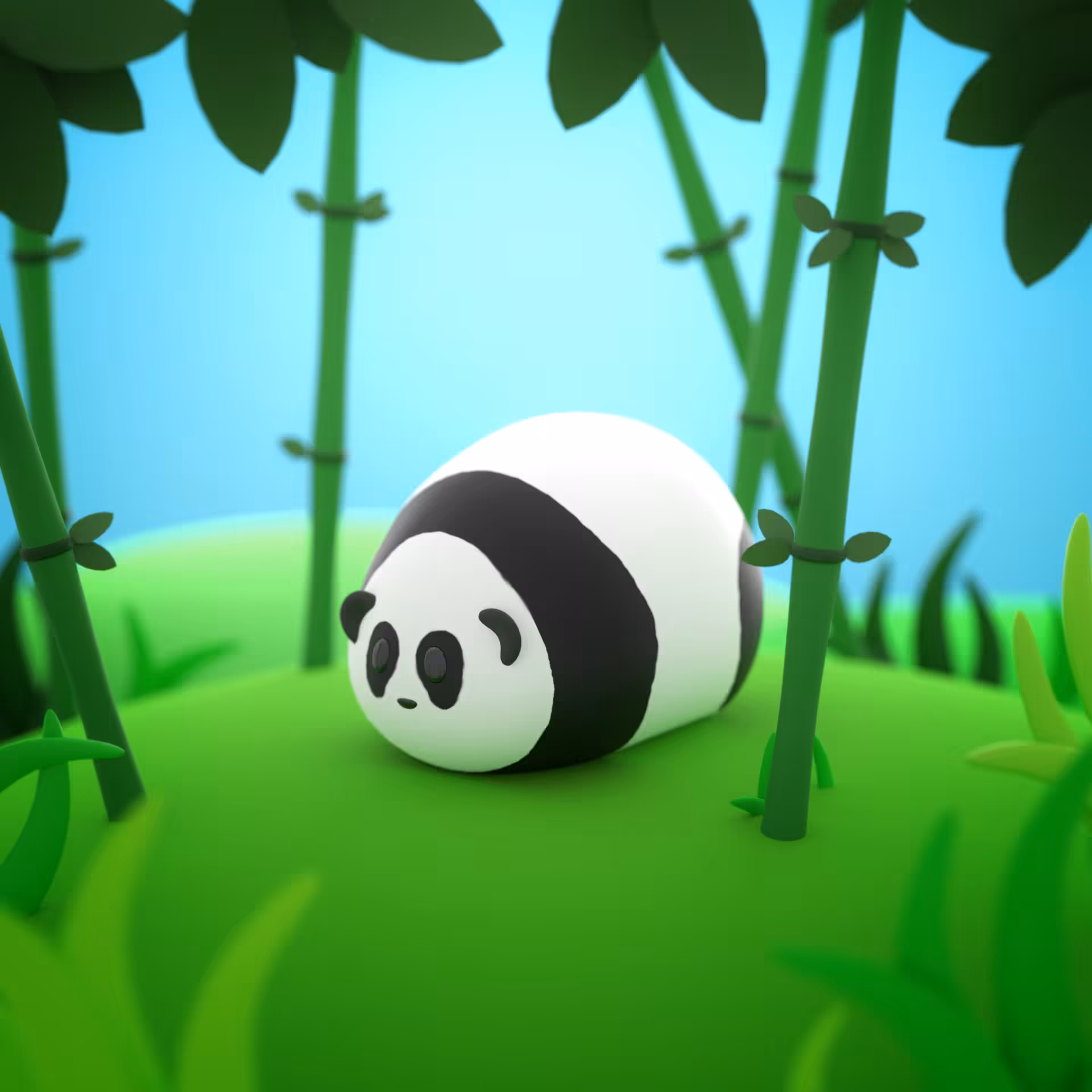 Panda