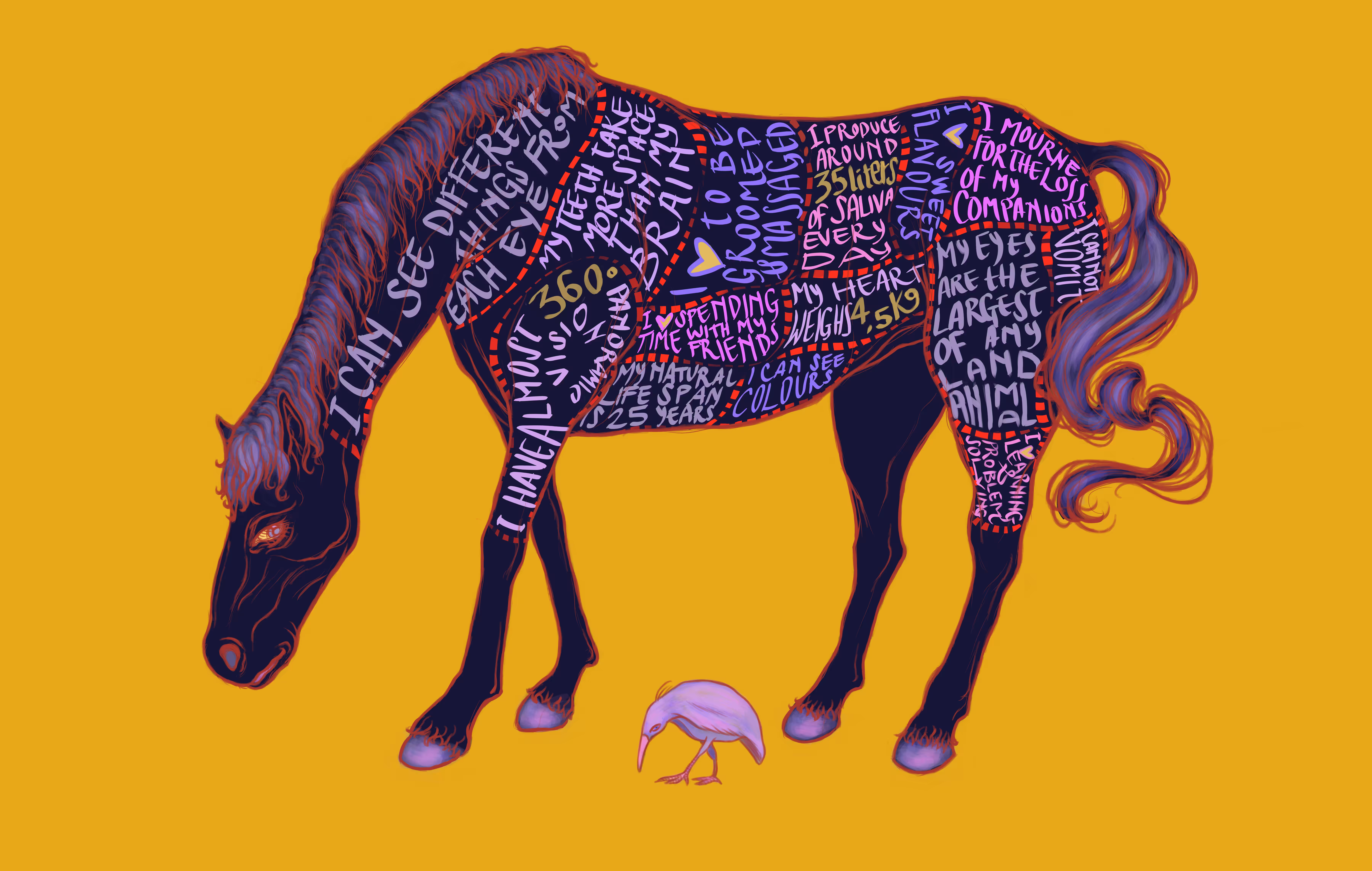 Horse