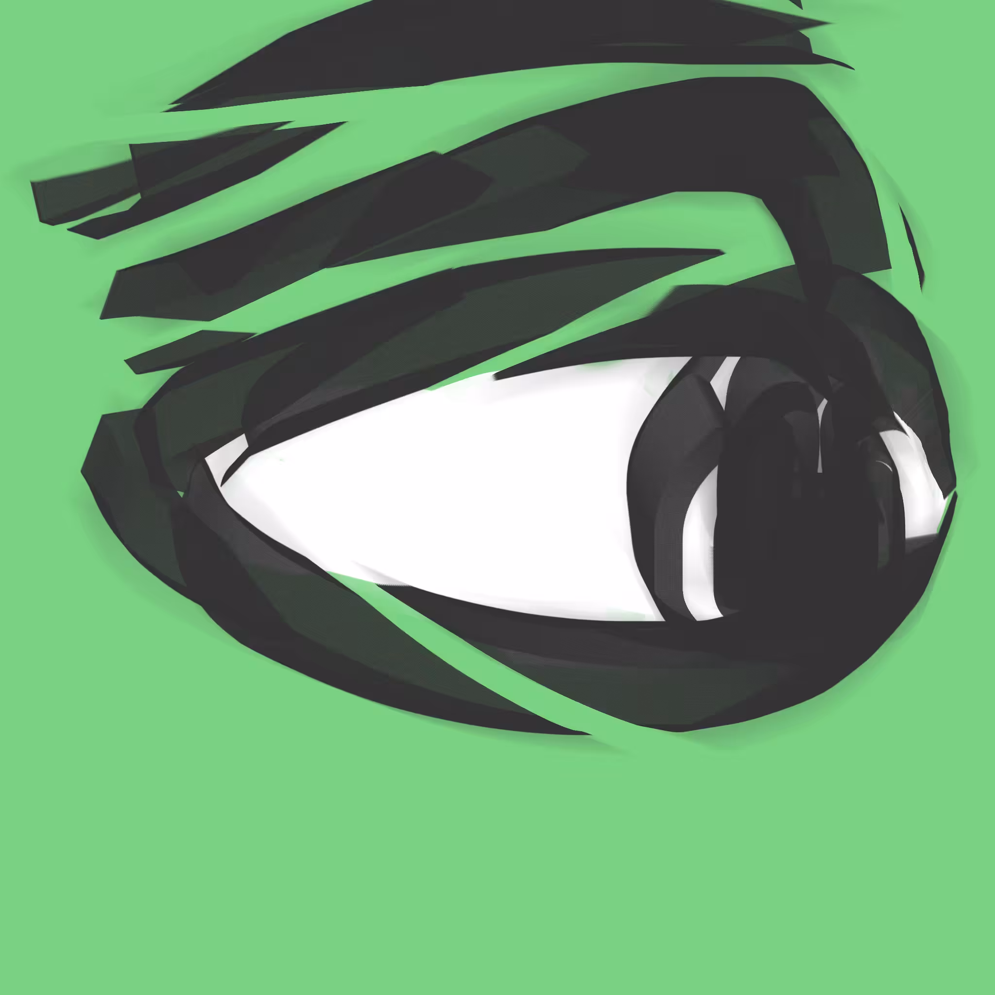 Eye