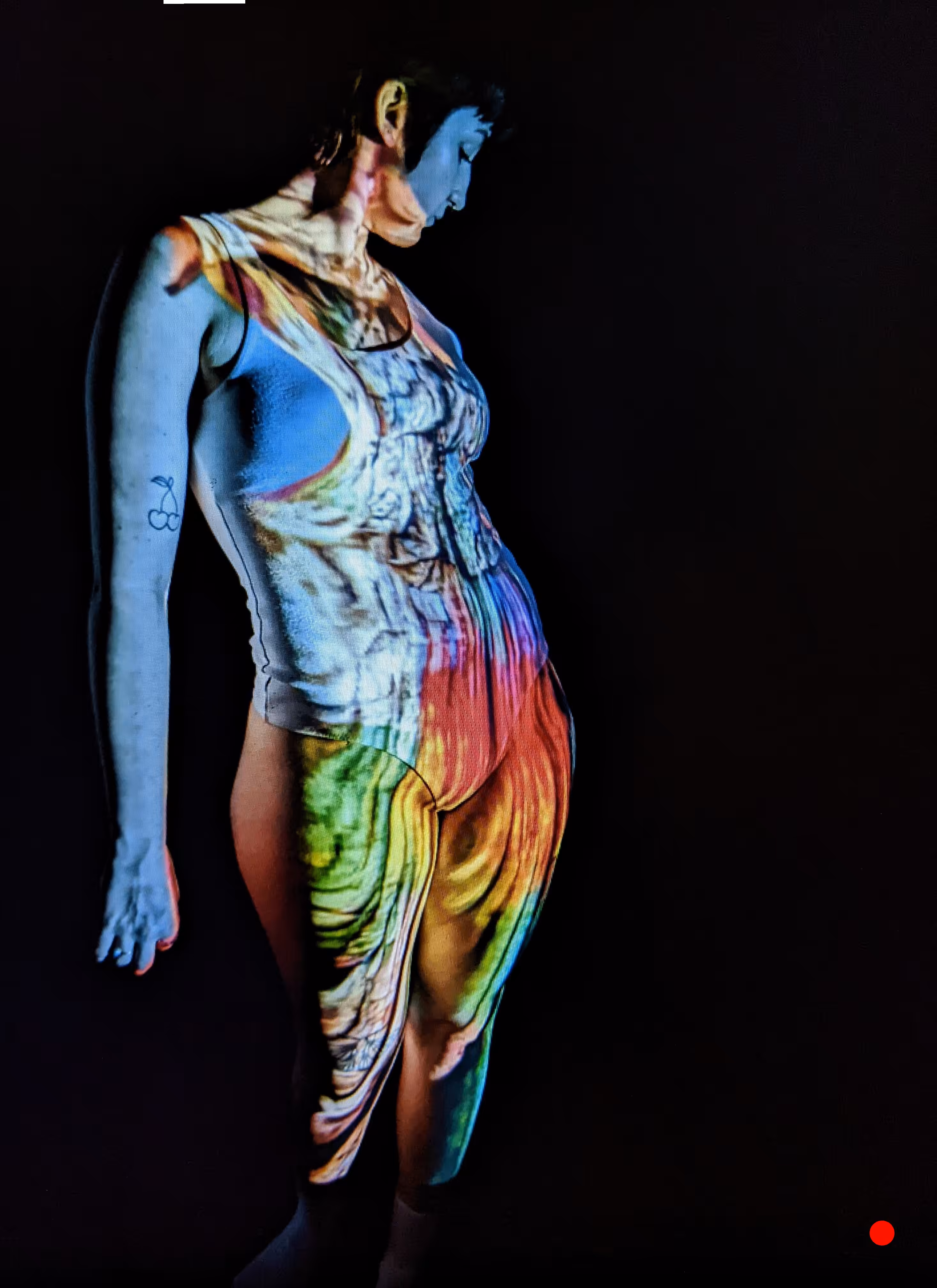 Eucalyptus Contours