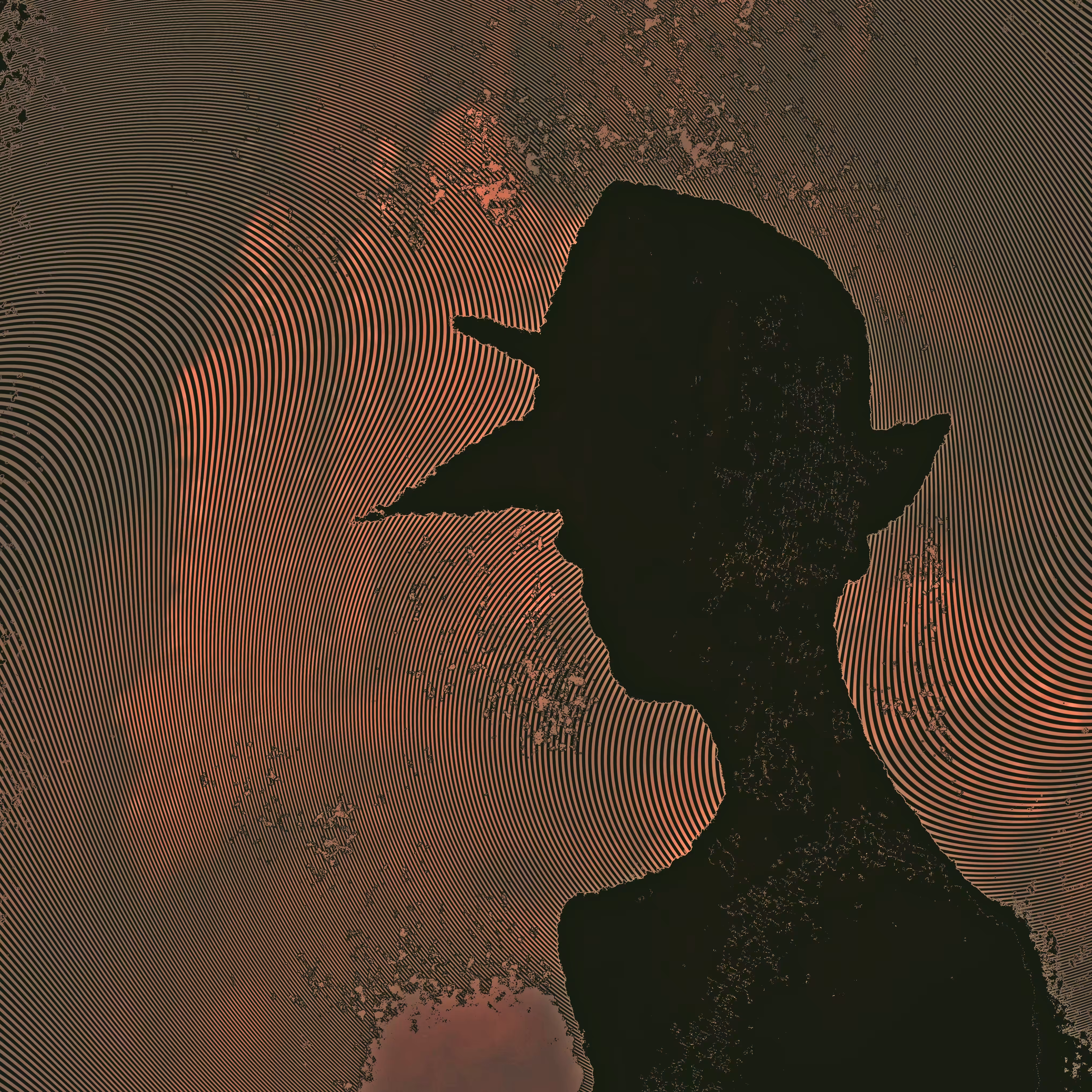 Secrets  in the shadow