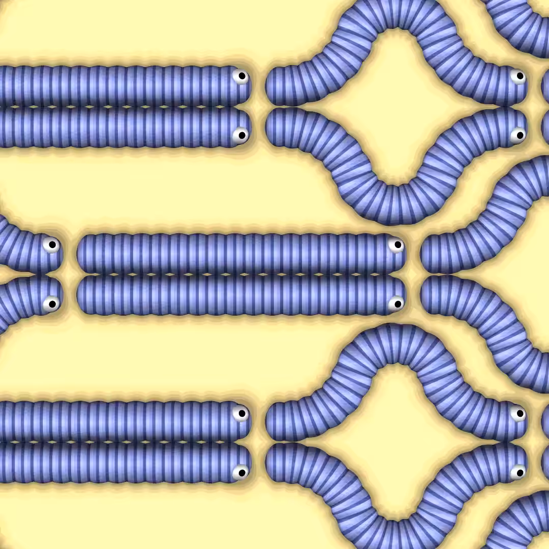 March of the Caterpillars 1