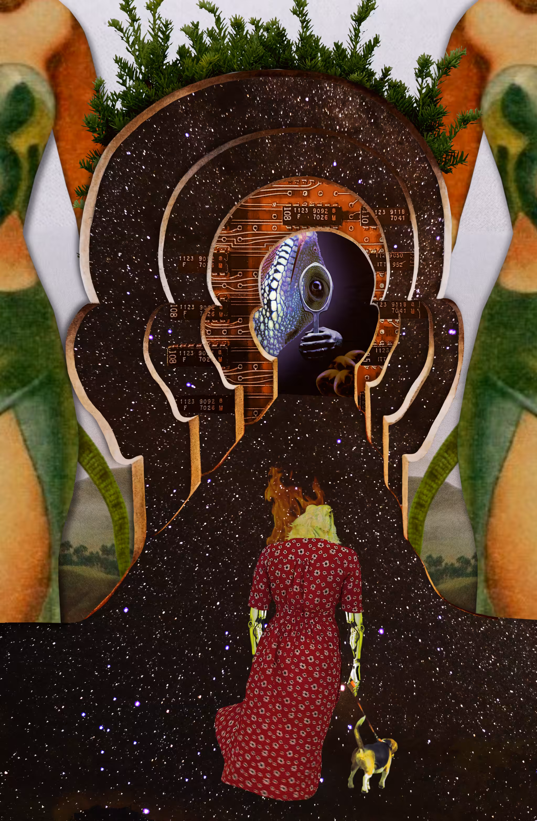 The Search For Lizard King