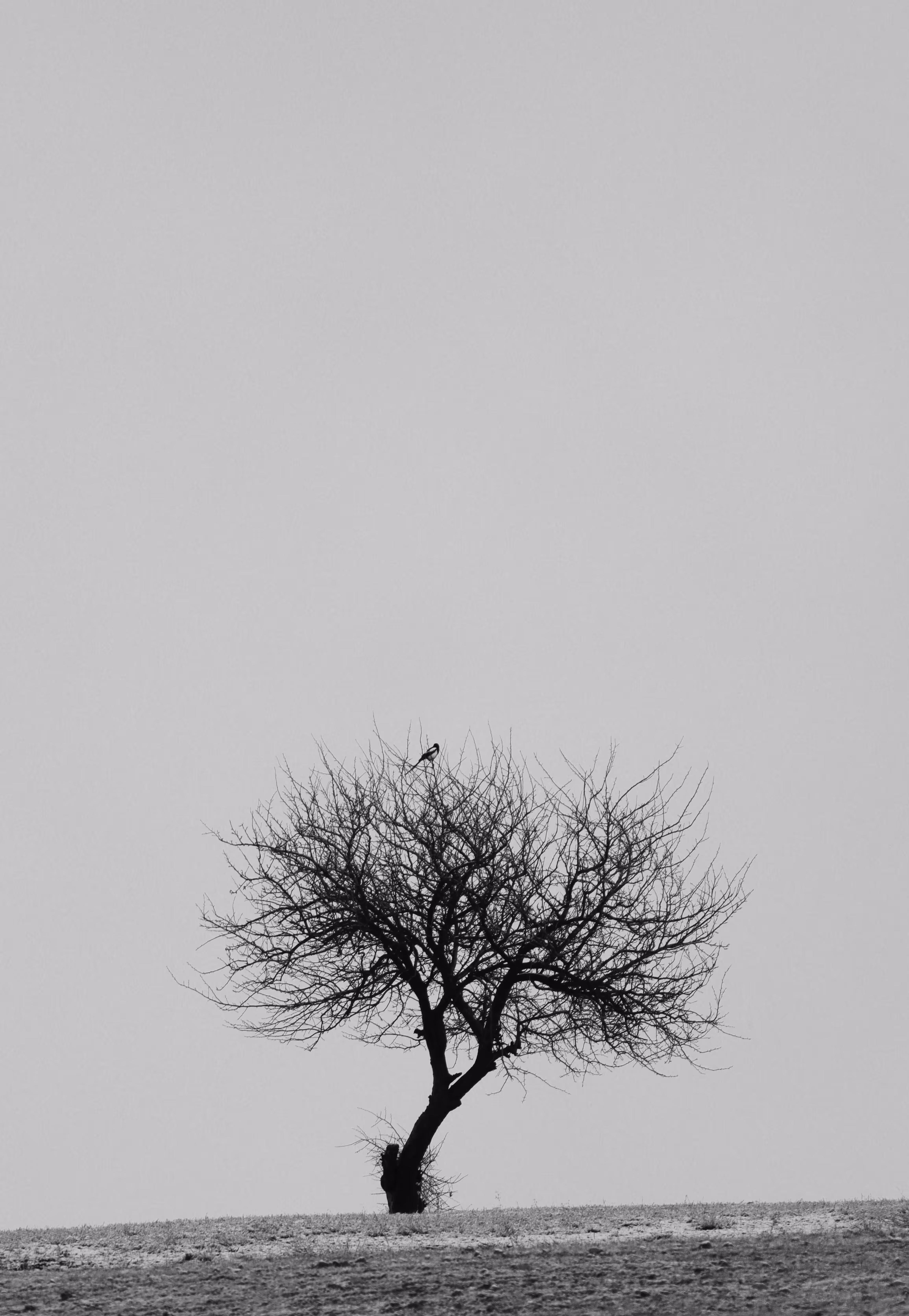 Alone