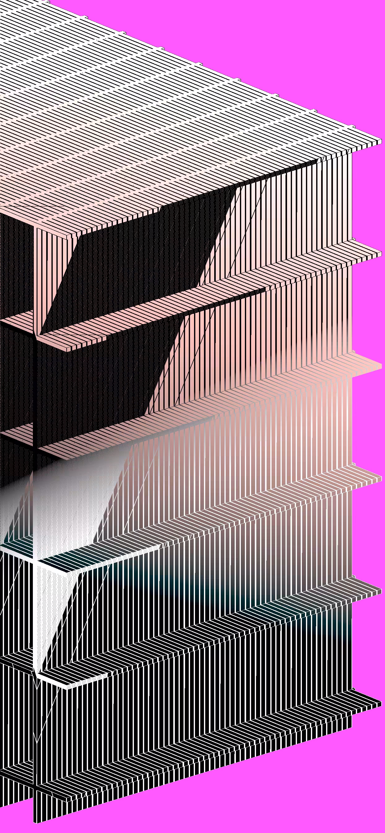 M U L B E R R Y