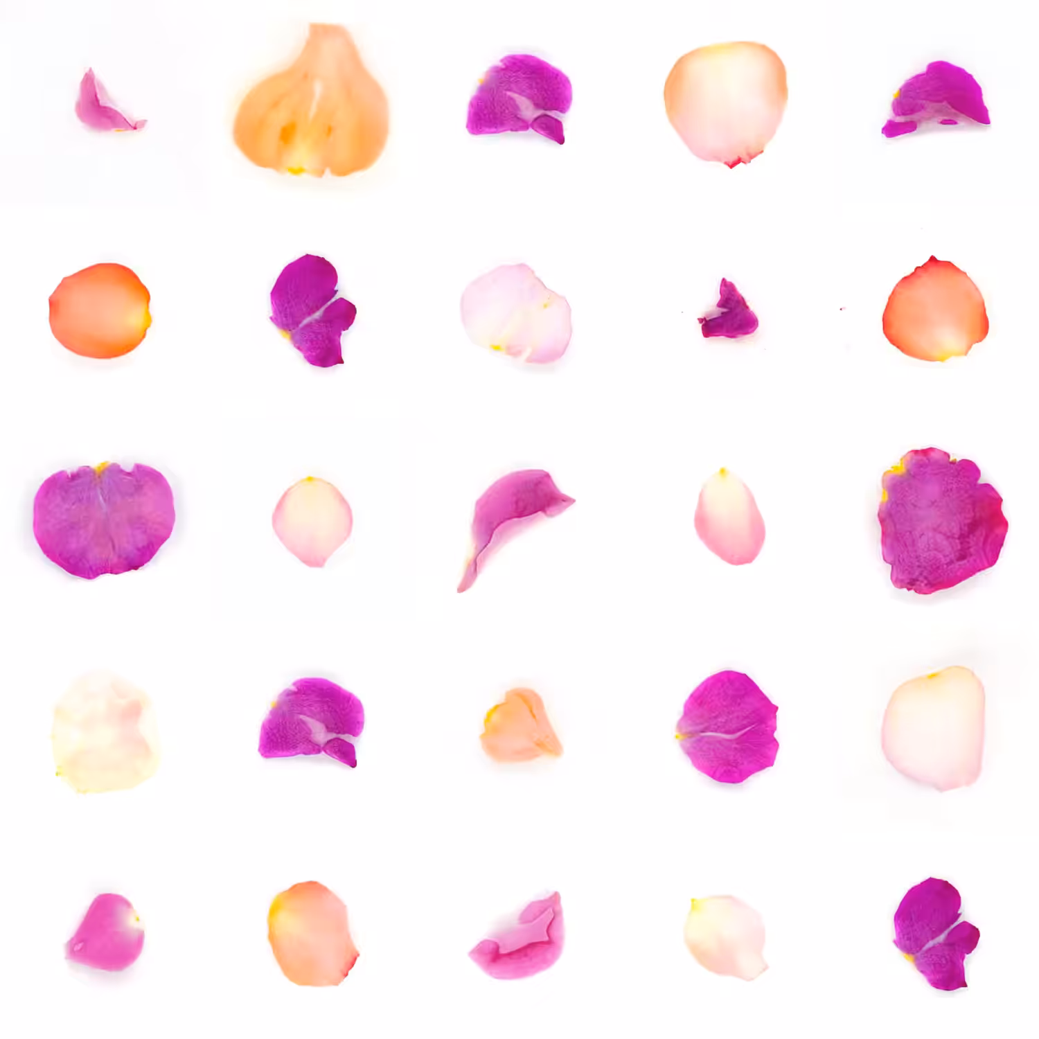 Infinite Petals 5x5#1555