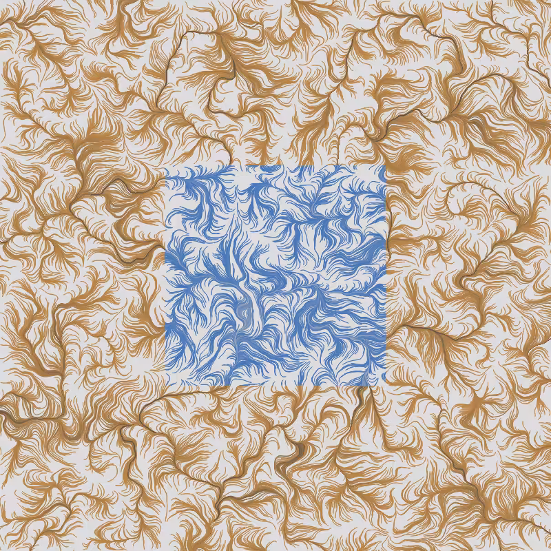 Plains #238