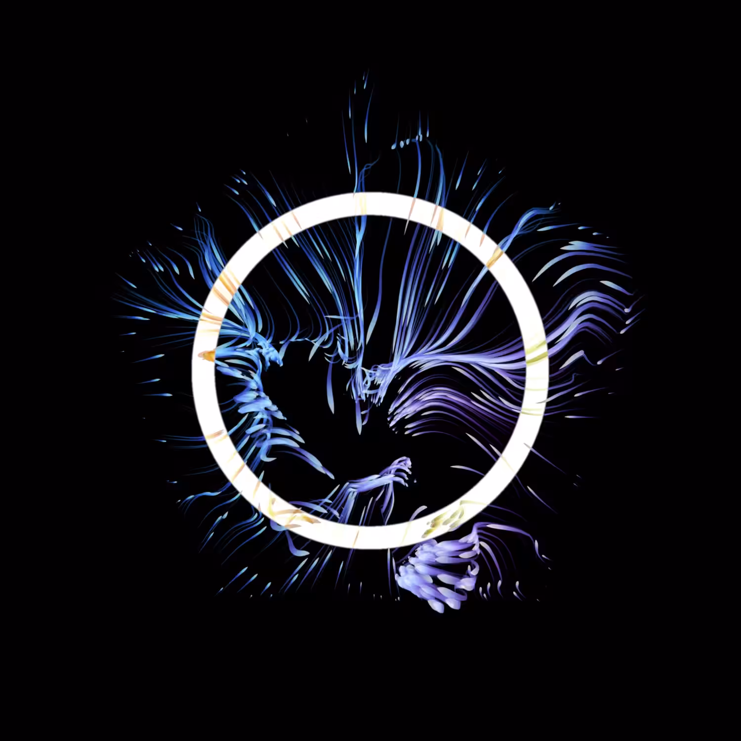 Vortex #520