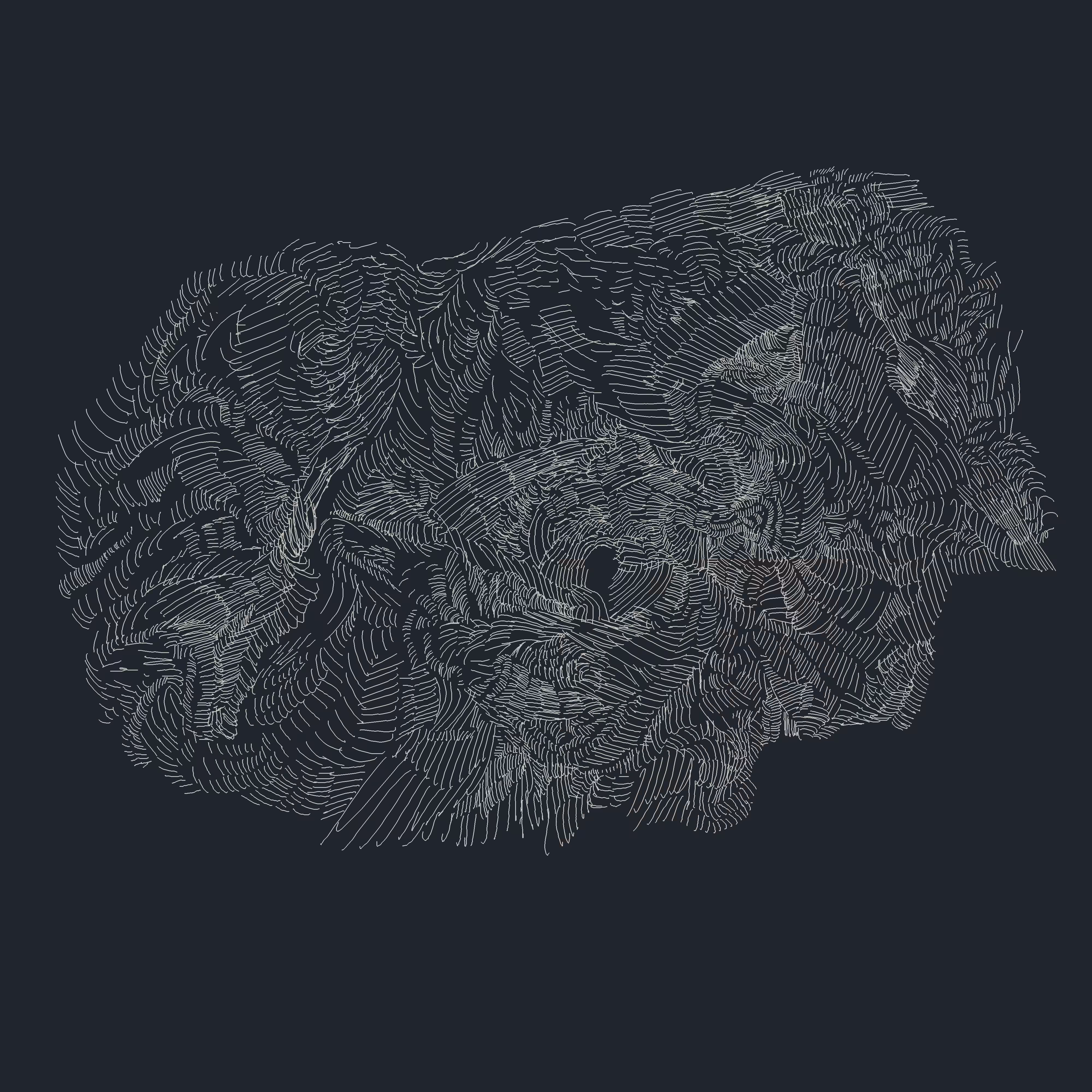 deep sea cyclop monkey head