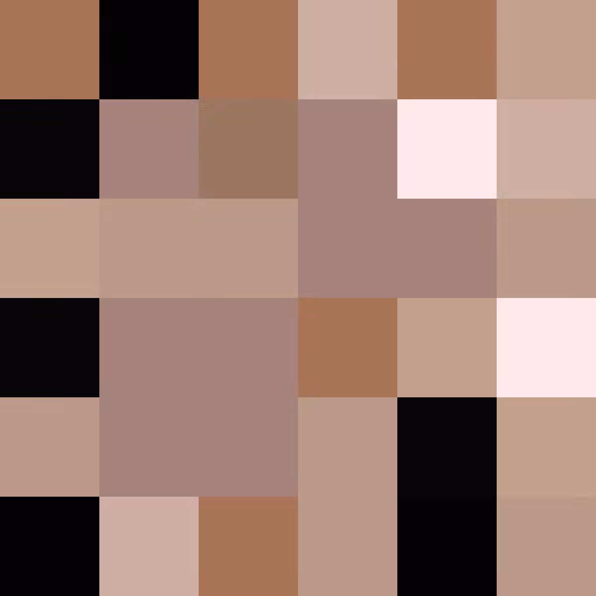 π bear (noπer)