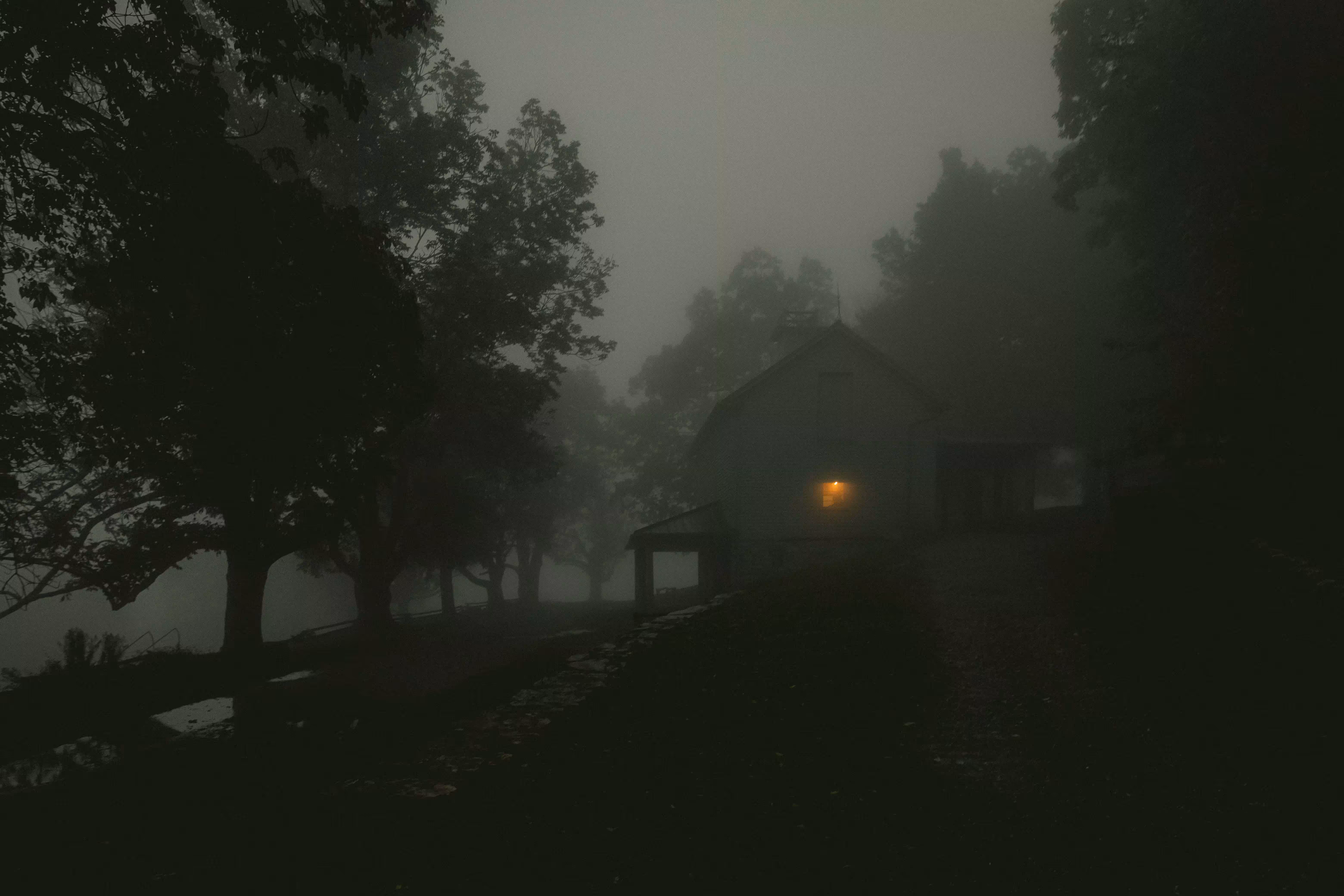 Summer In The South #11
