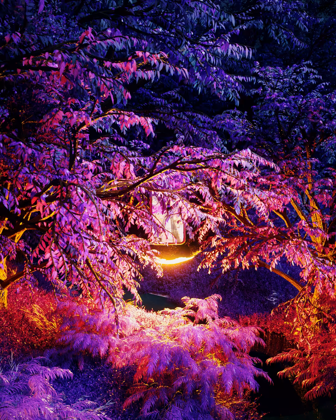 Purple Valley #10 Malaysia
