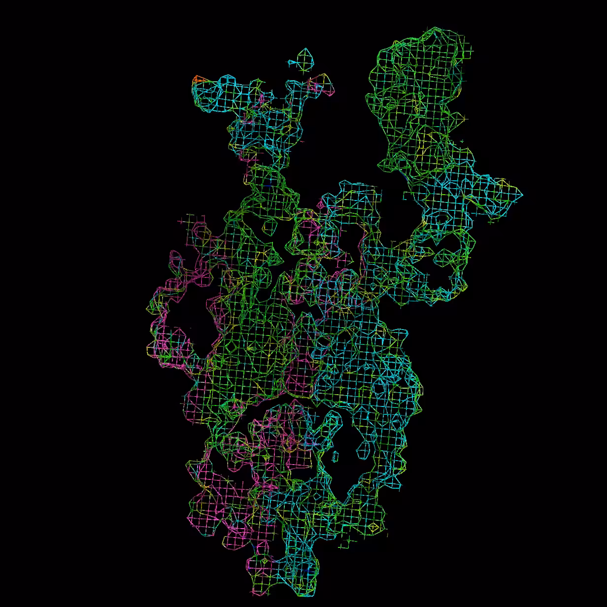 2019-nCoV spike glycoprotein mesh