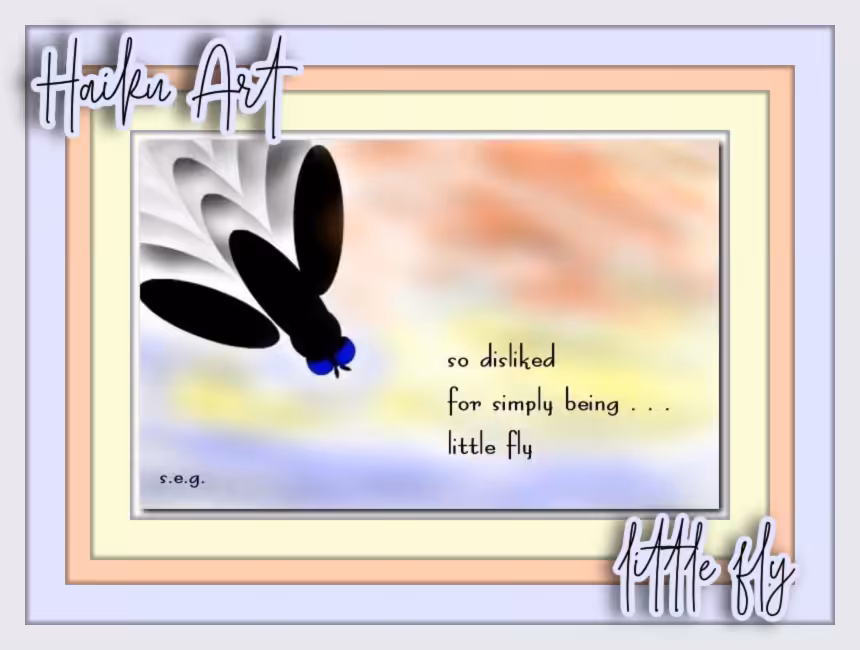 Little Fly