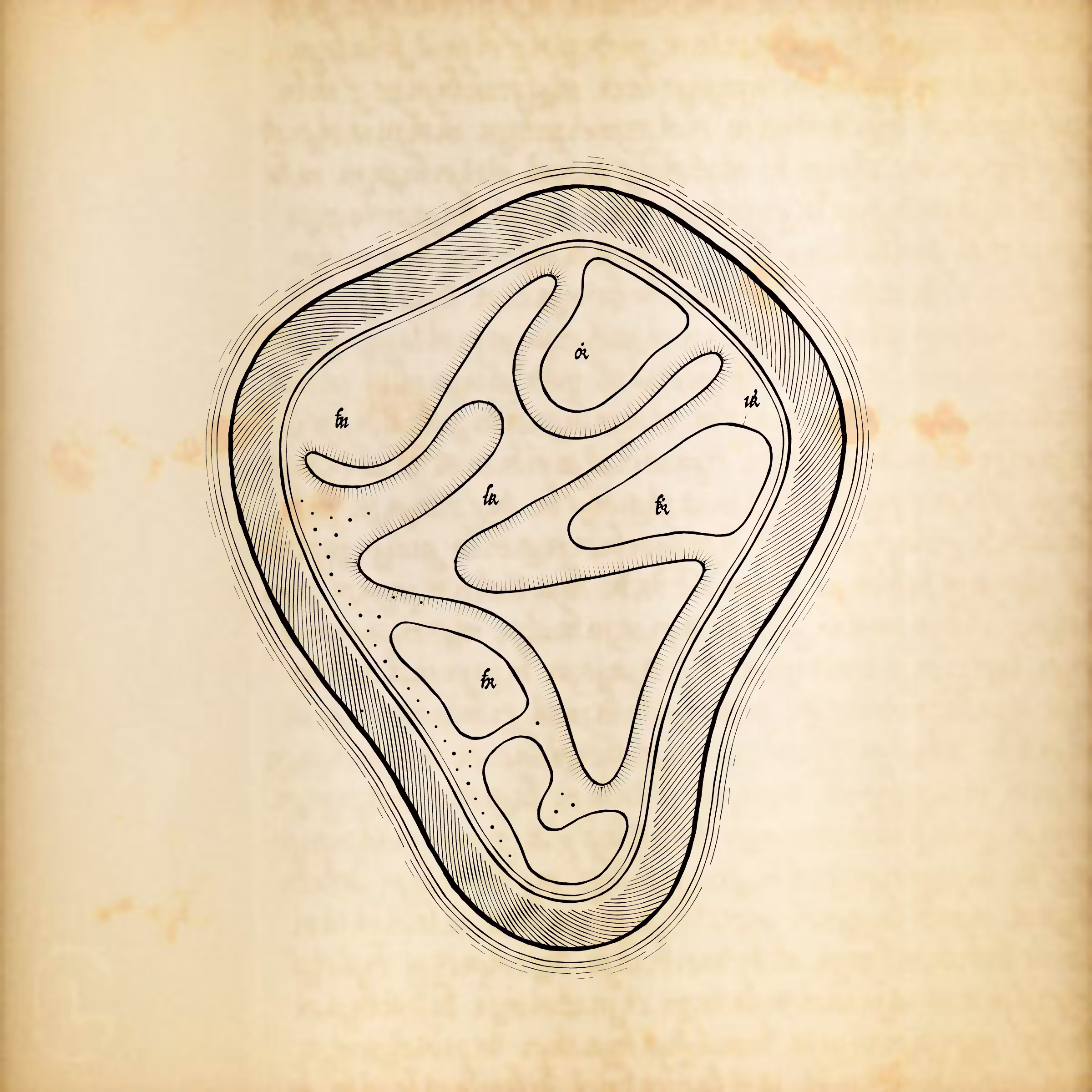 Cytographia #156