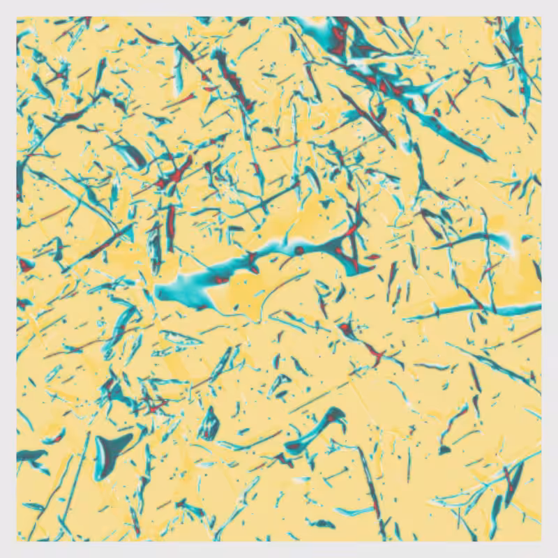 Dynamical System #6