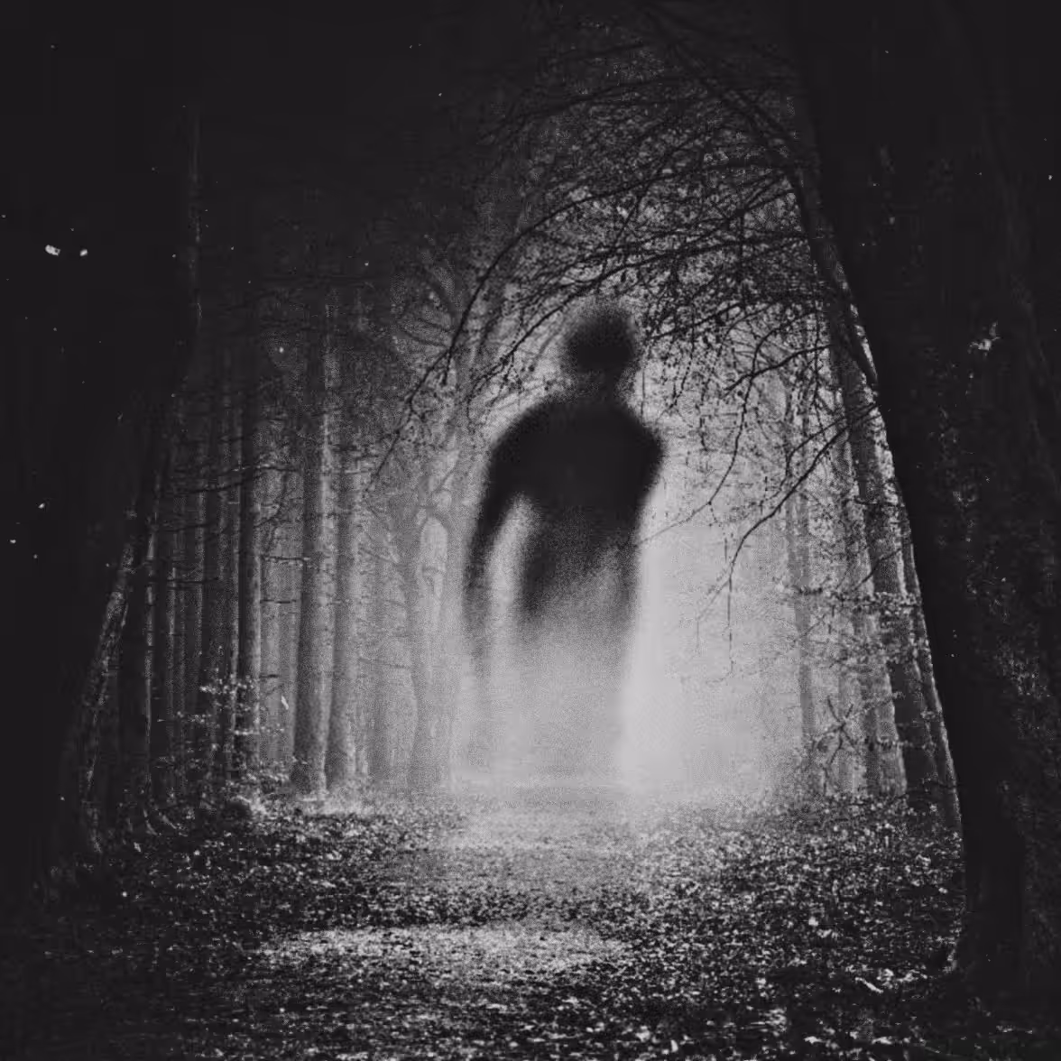 Ghost #19