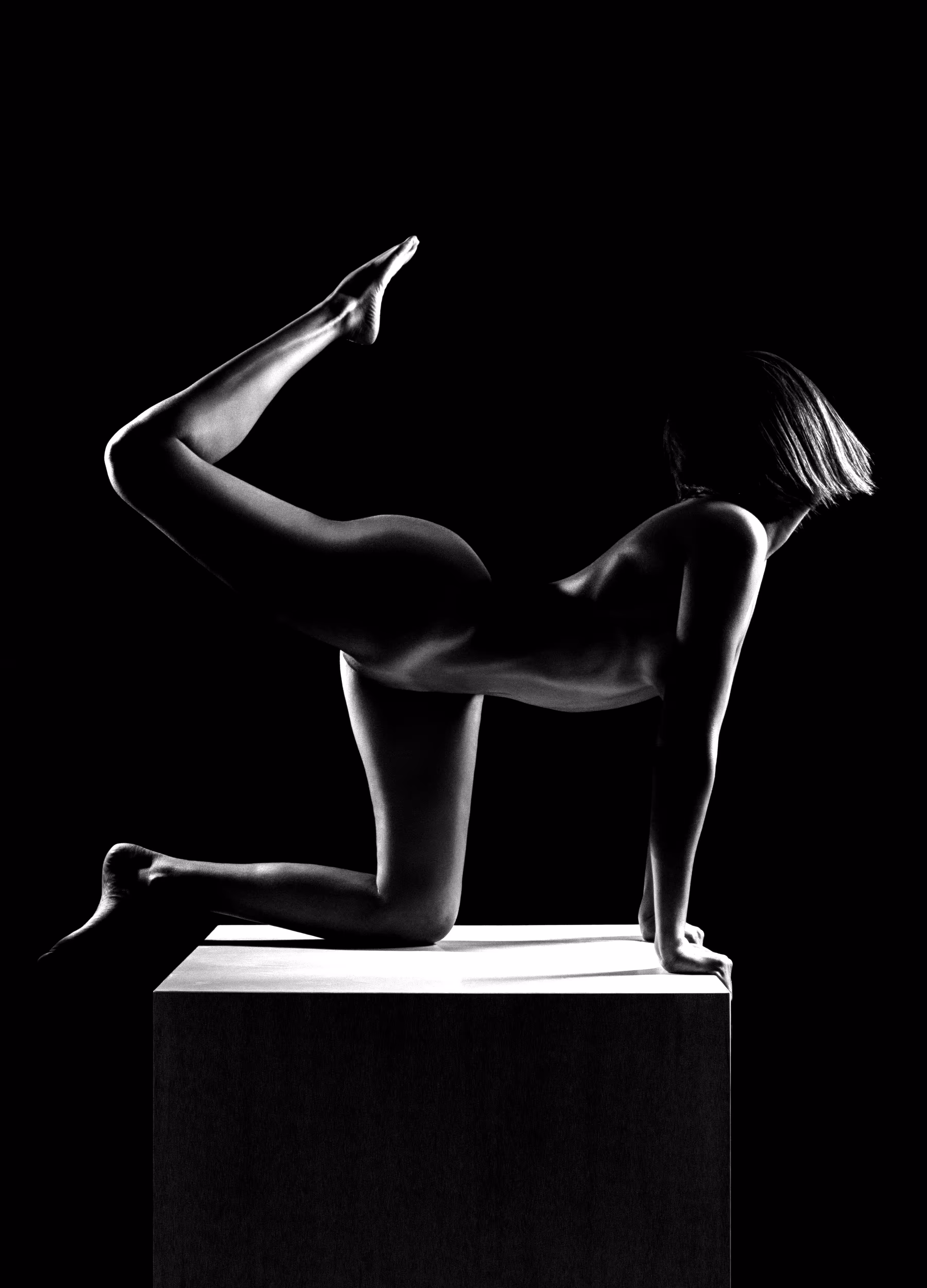 Sculpted in Light