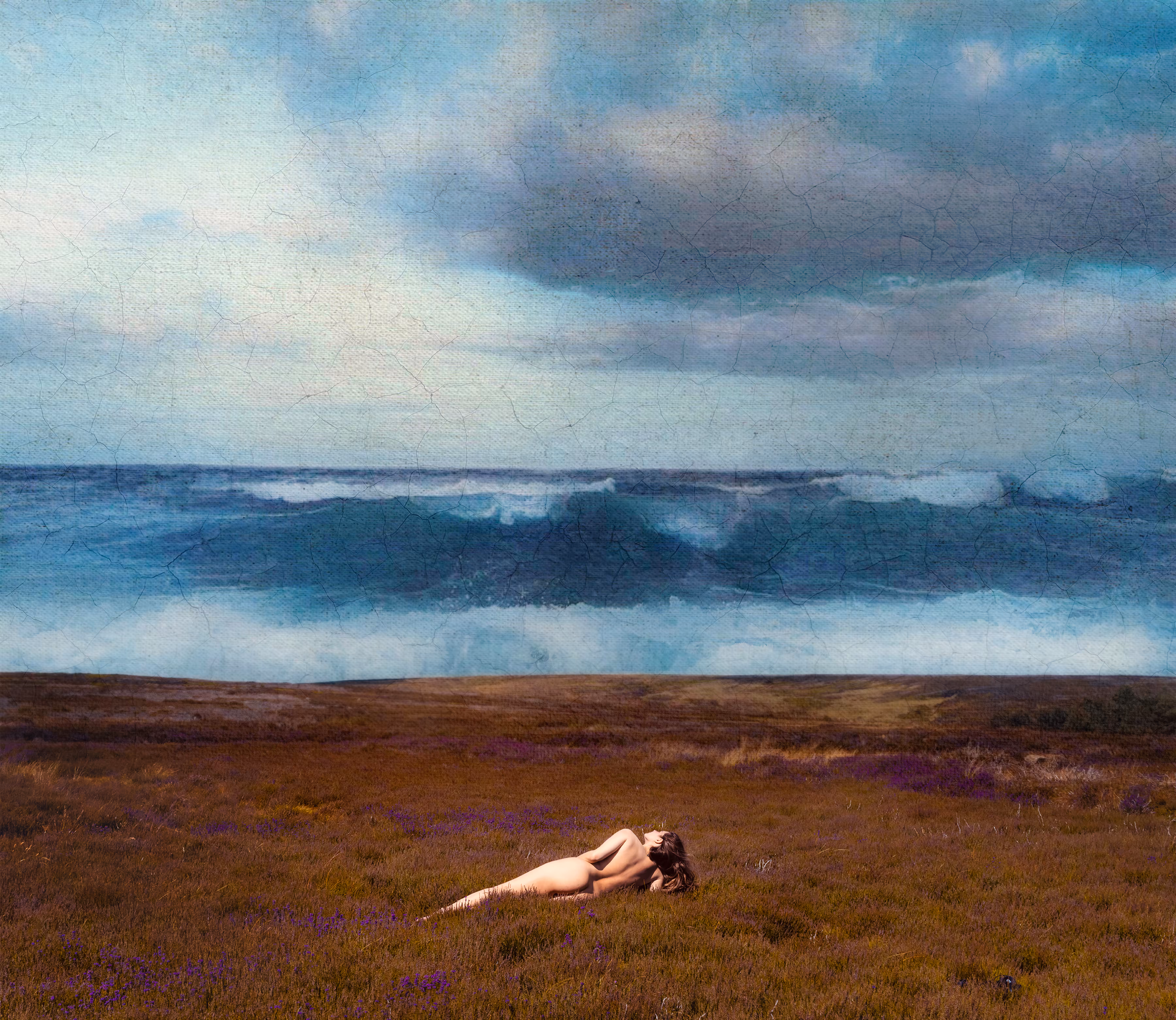 Canvas II: Yorkshire Moor
