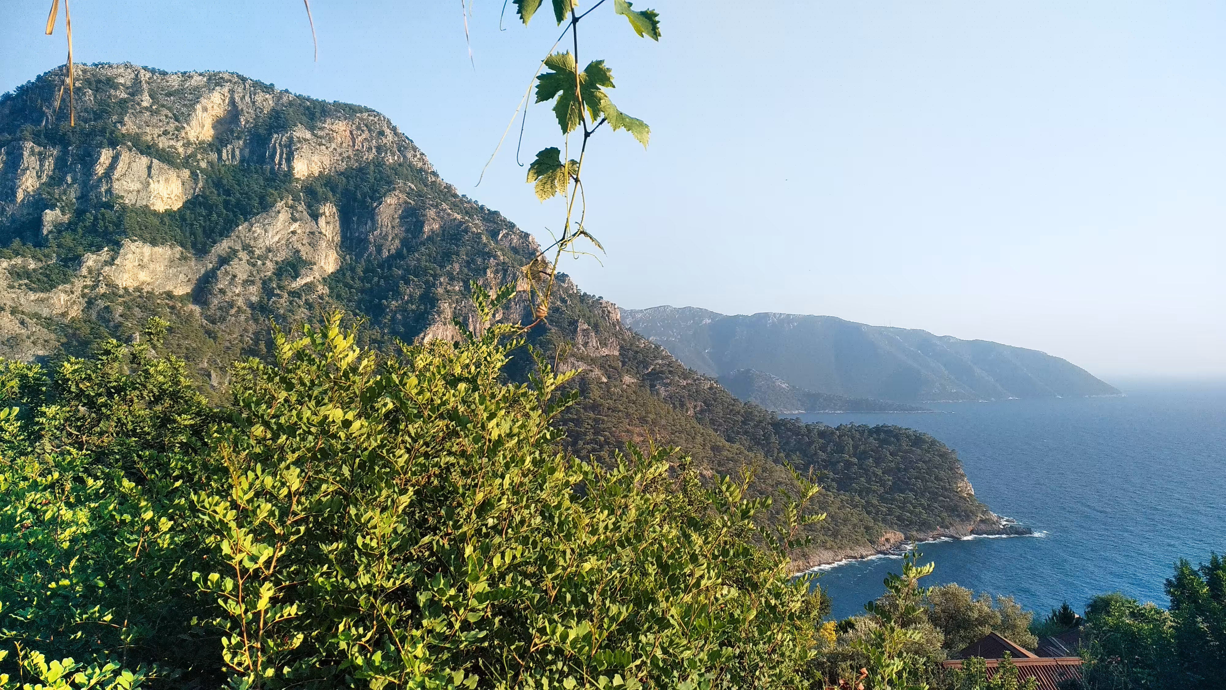 Kabak Koyu