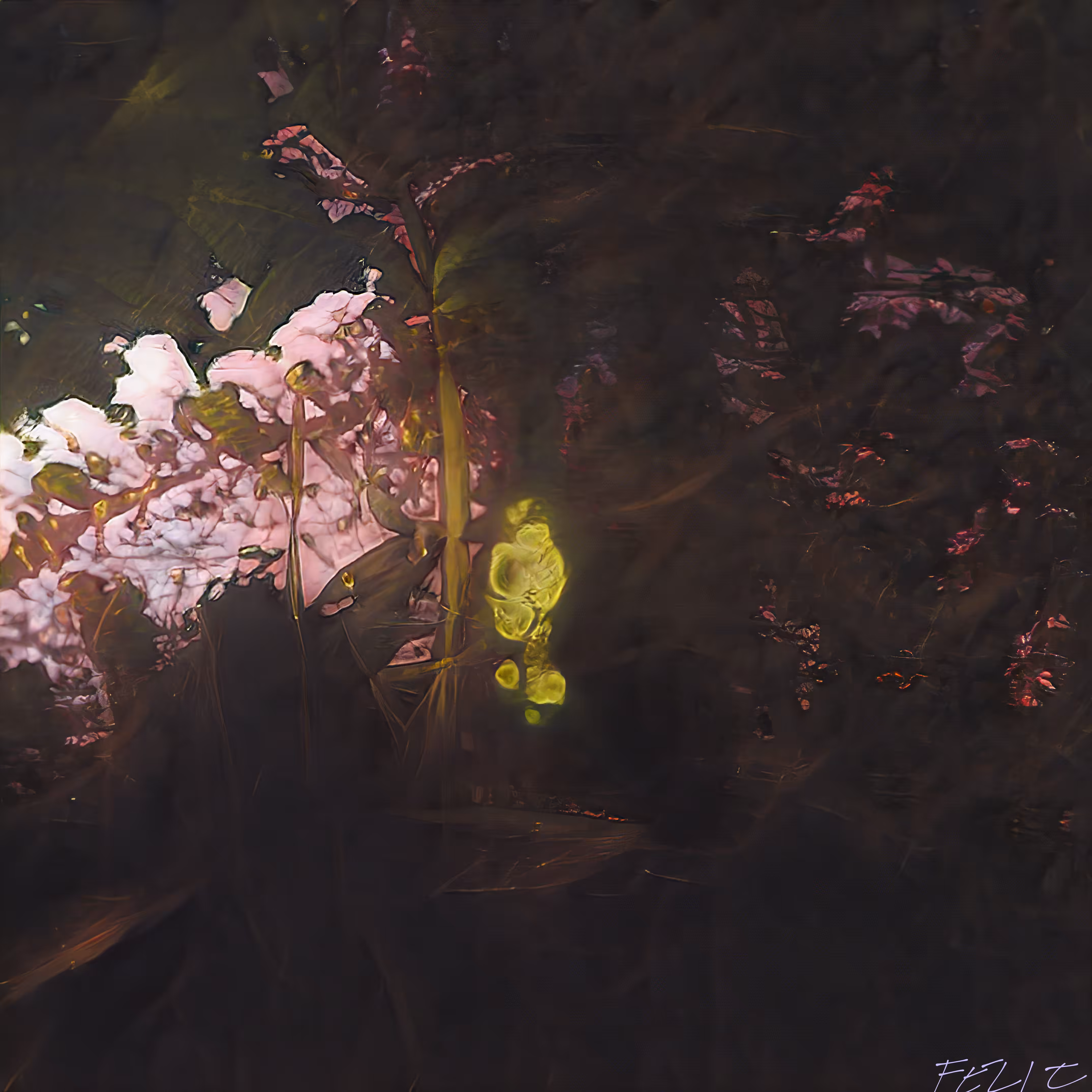 Arboreal Aura