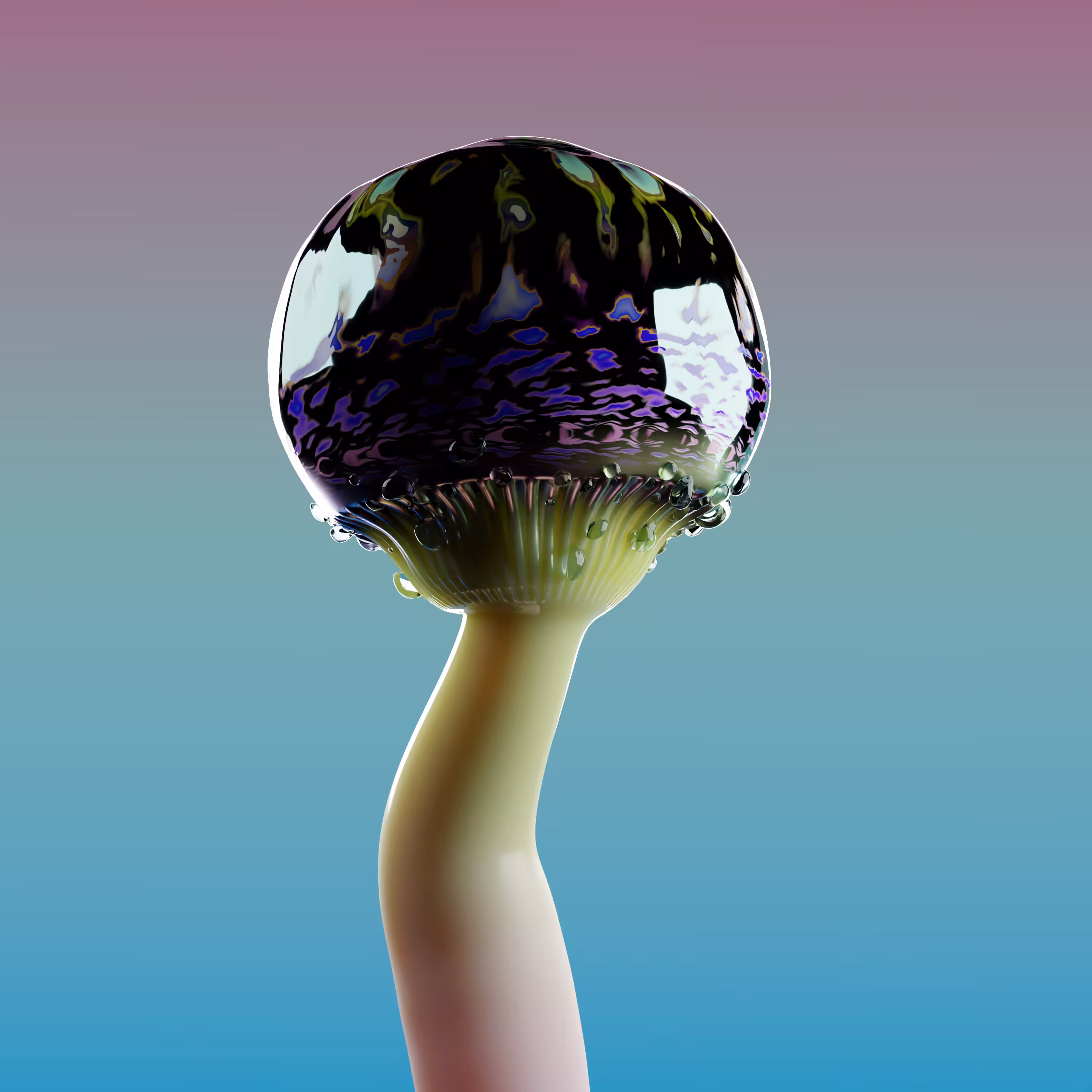 Fairy's Kettle