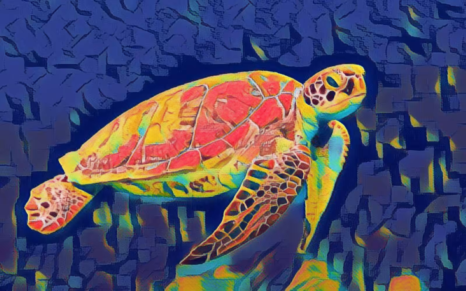 Grab shell dude