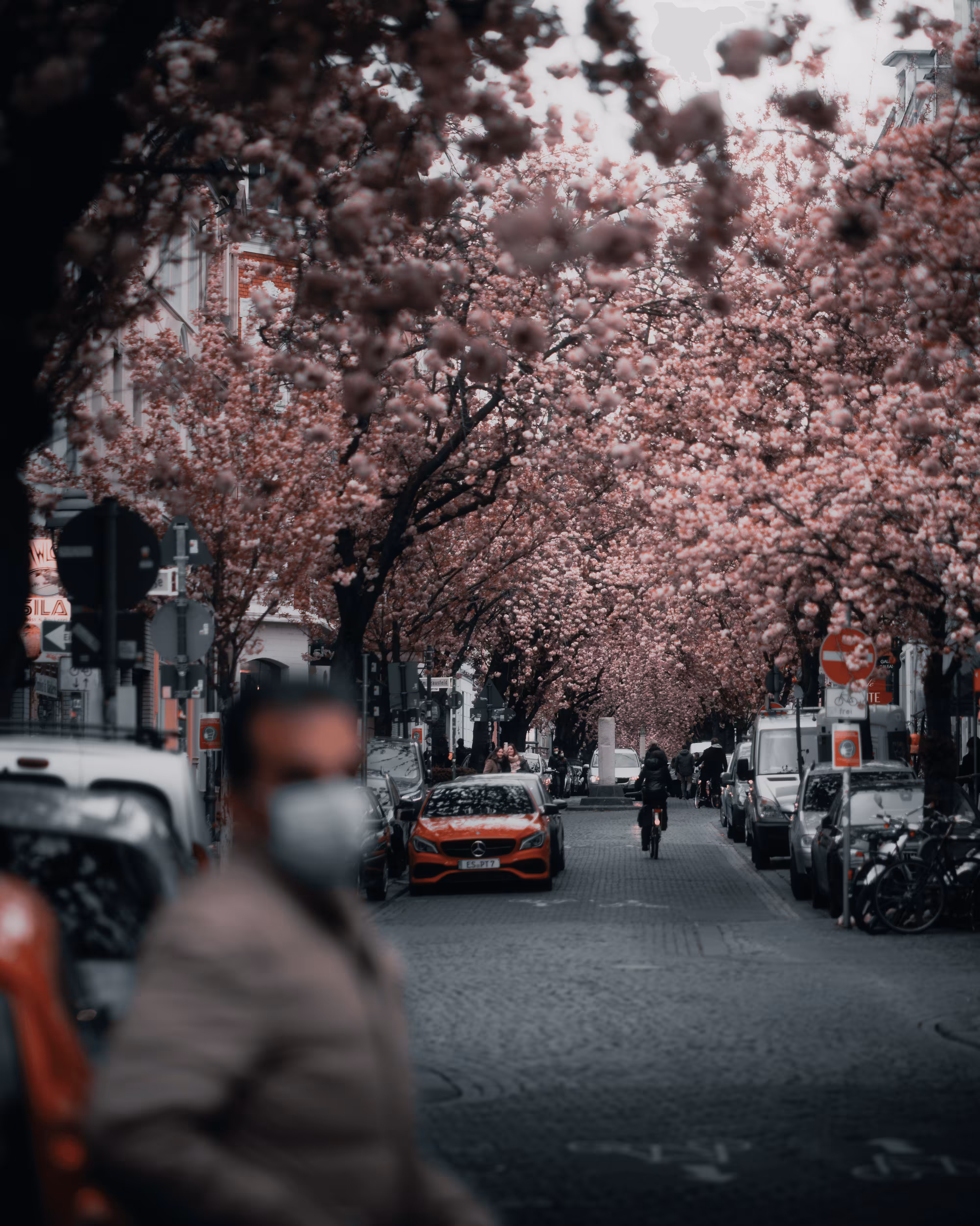 Stranger #35