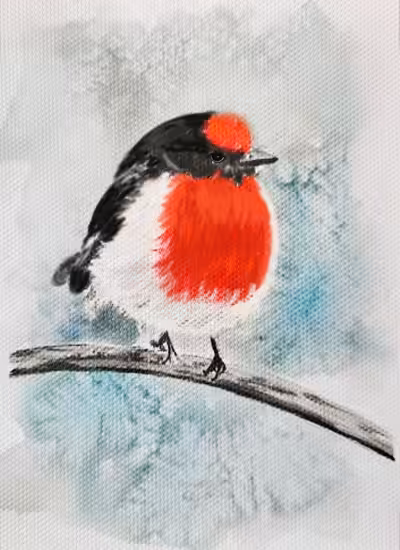 Red-capped robin #2