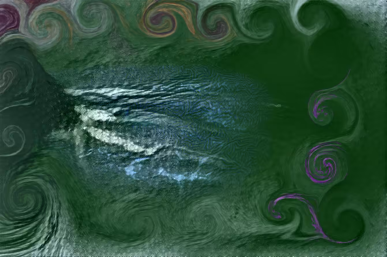 SwellDreams