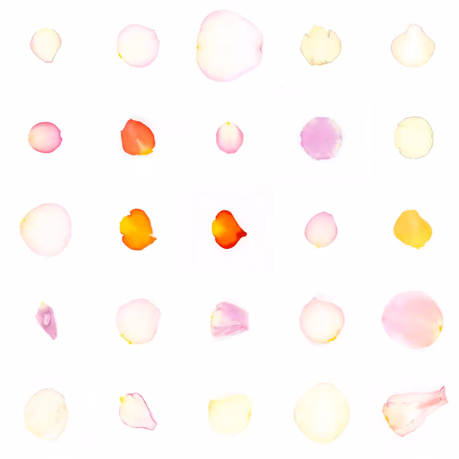 Infinite Petals 5x5#1883