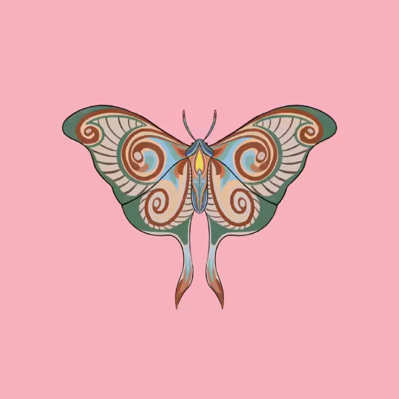 The Moth Experiment 2.0 P2 #27