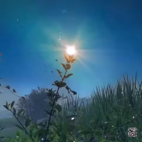 Wisdom of the sun