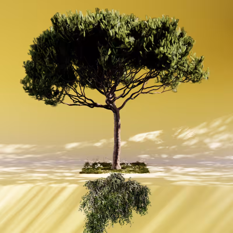 Nature rooms #29