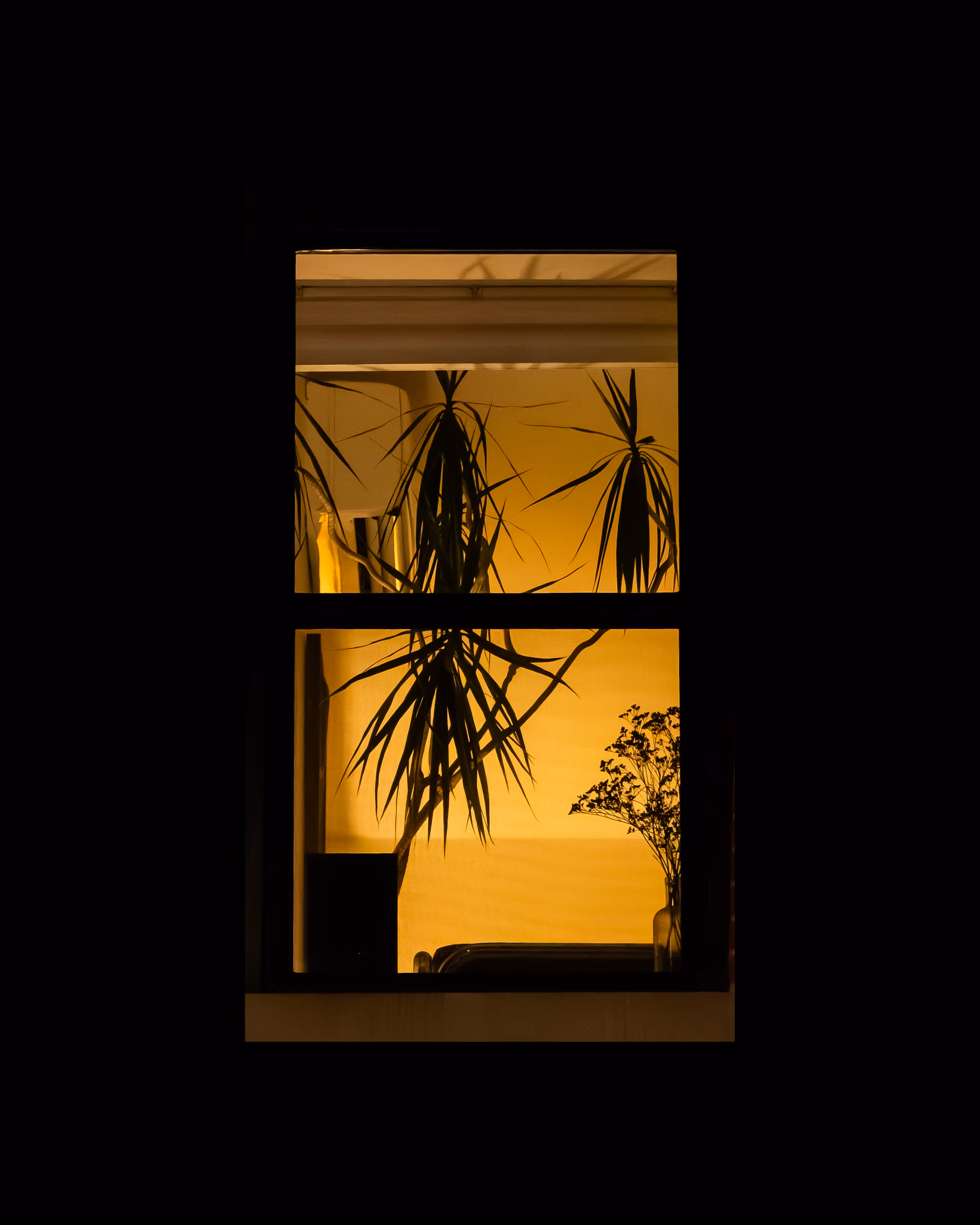 WINDOW 730